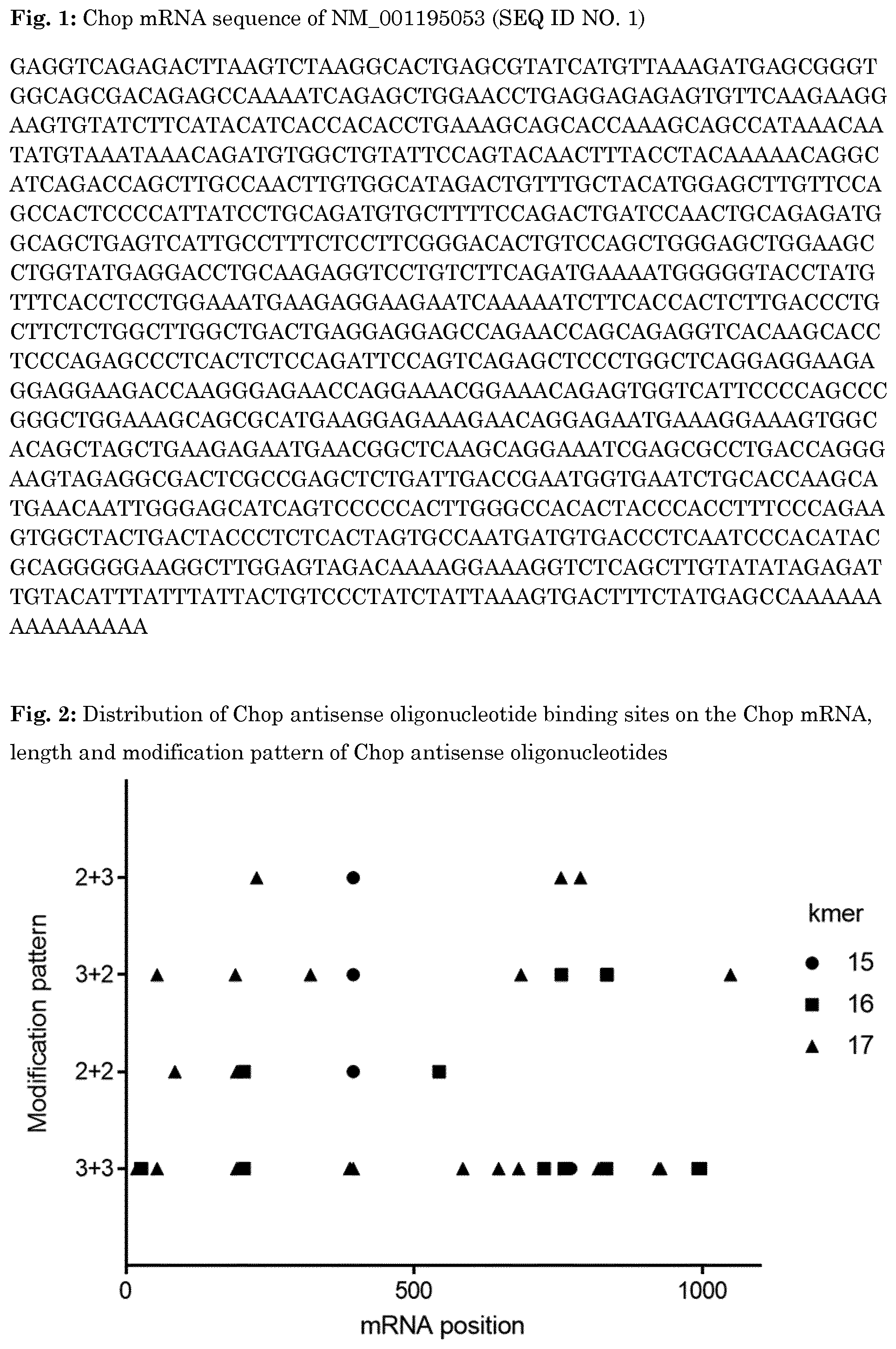 Patent US11781136 Figure 1 – Oligonucleotide inhibiting the expression of Chop