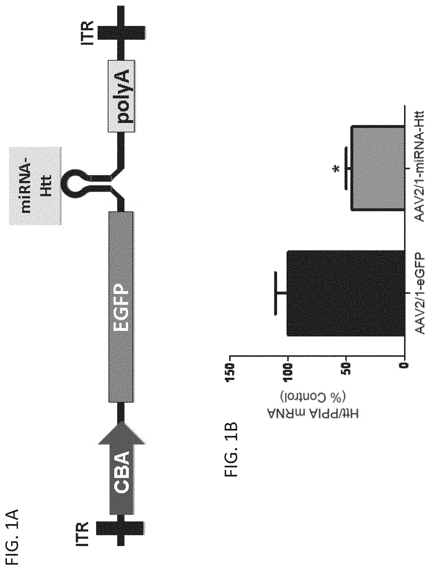 Patent US11781137 Figure 1 – Variant RNAi