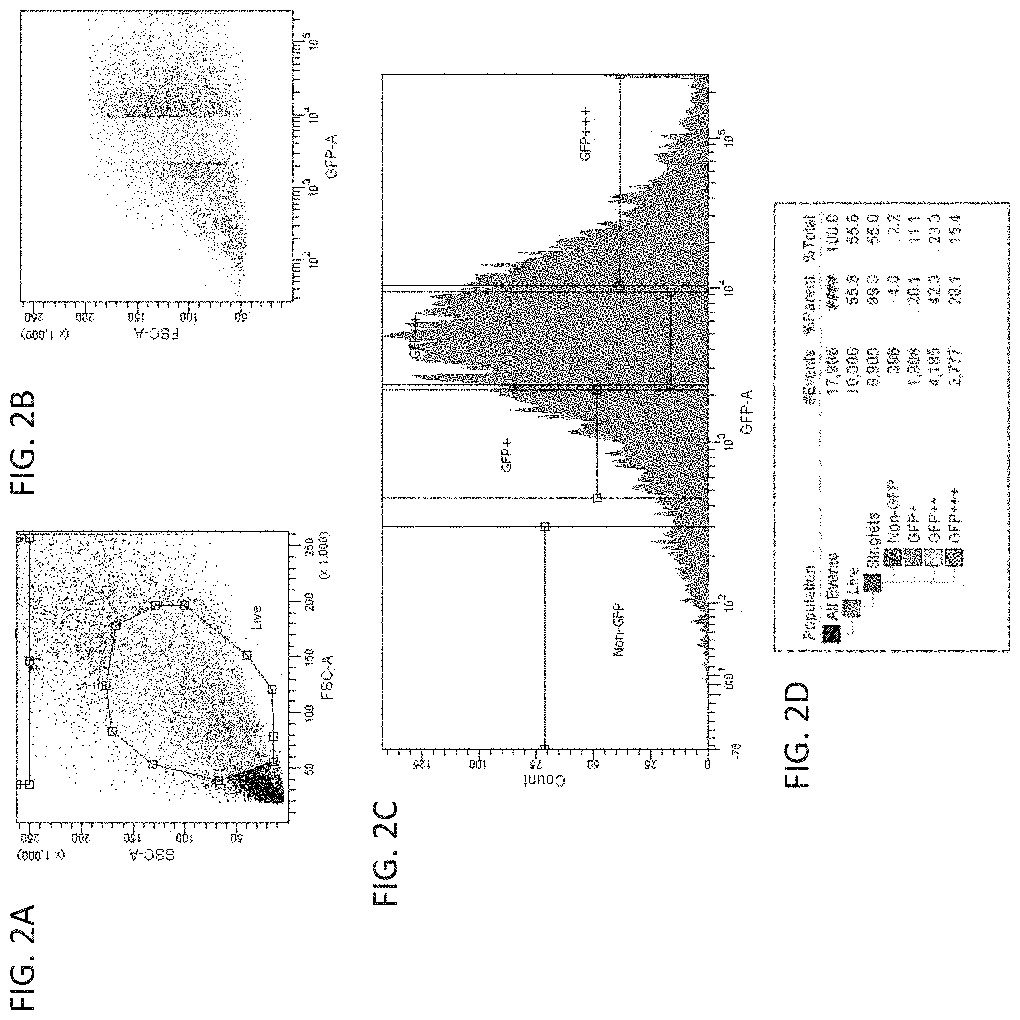 Patent US11781137 Figure 2 – Variant RNAi