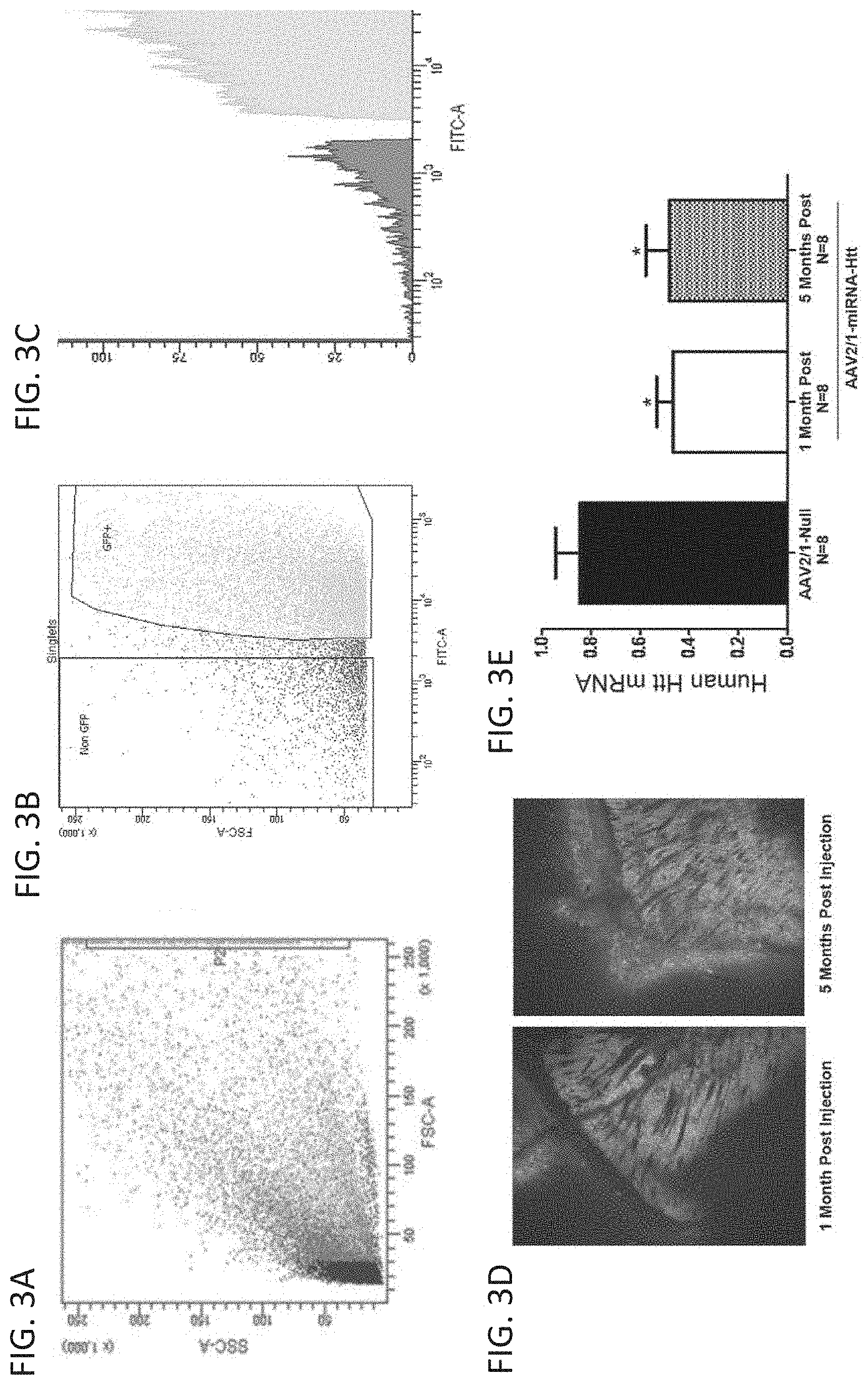 Patent US11781137 Figure 3 – Variant RNAi