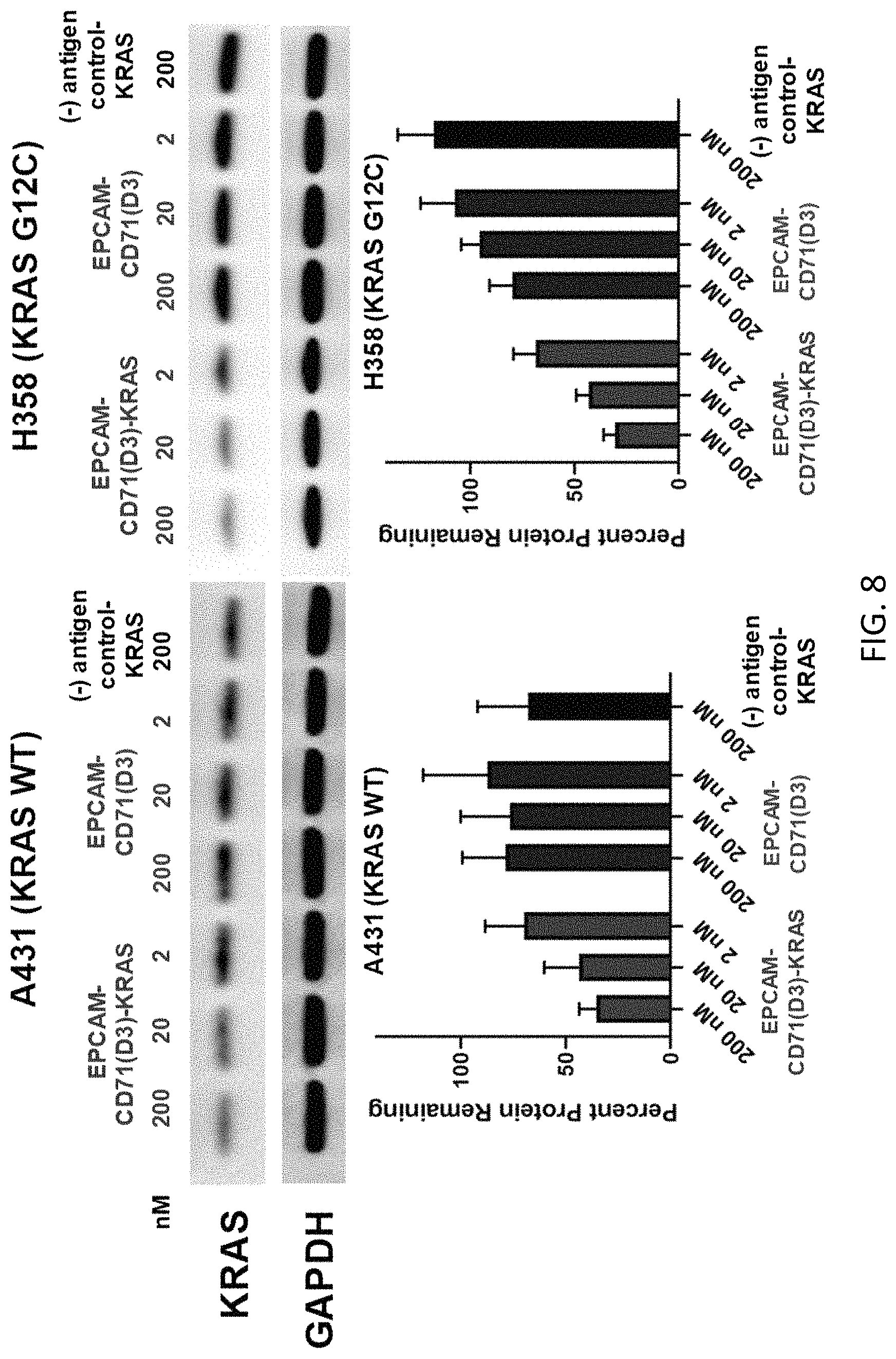 Patent US11781138 Figure 8 – FN3 domain-siRNA conjugates and uses thereof