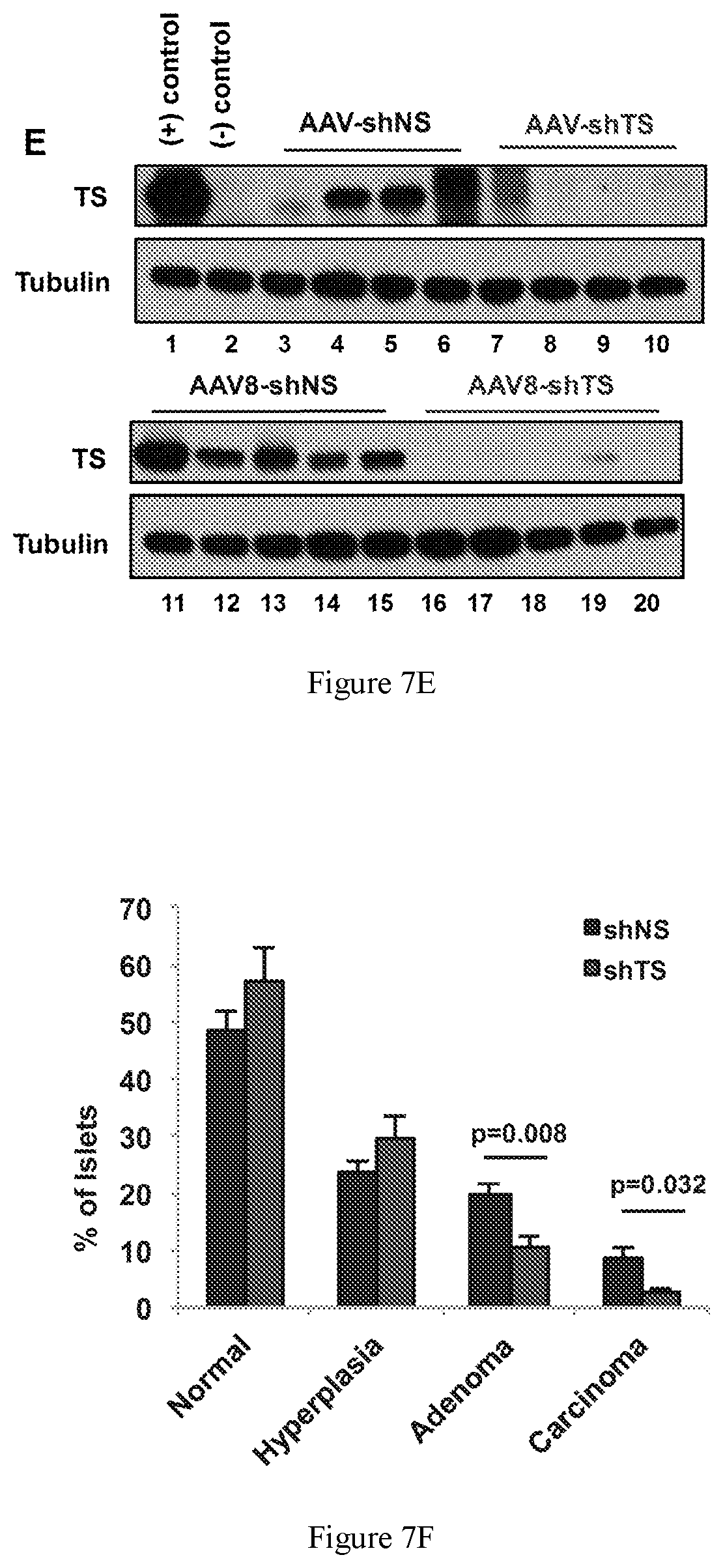 Patent US11781142 Figure 9 – 