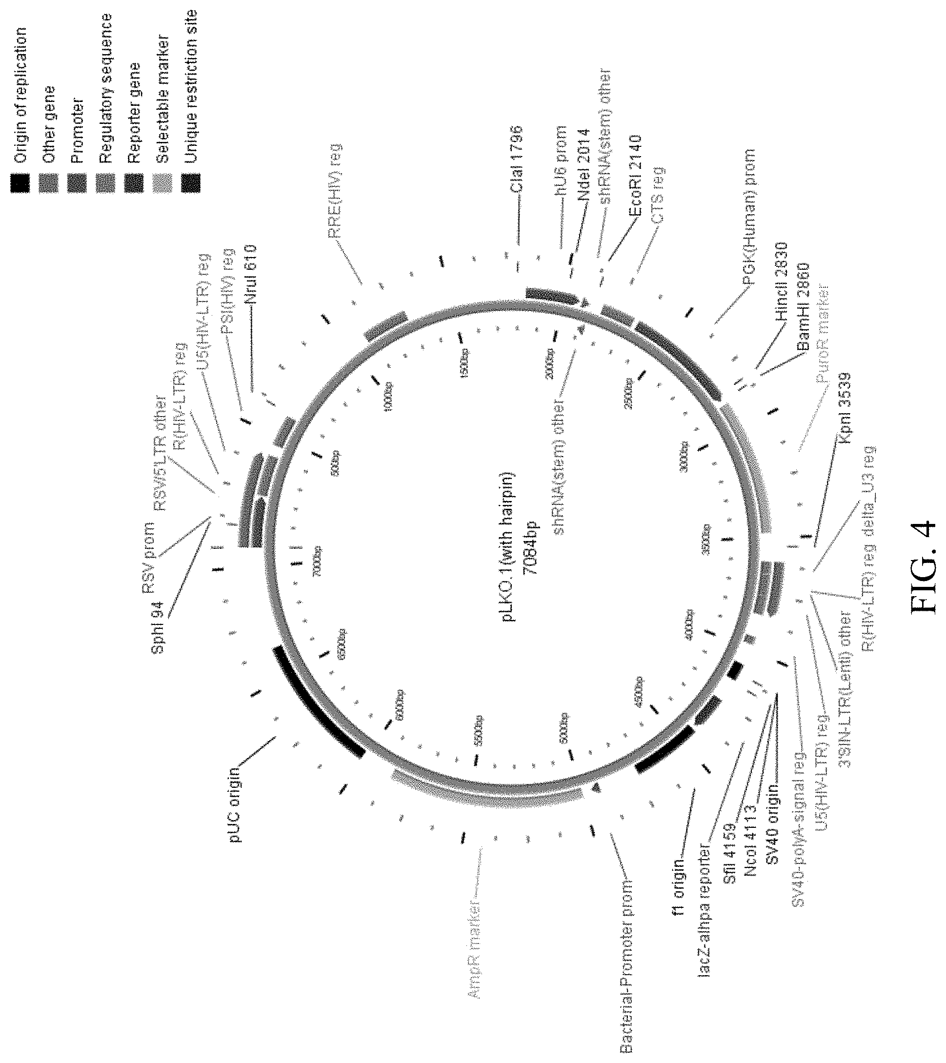 Patent US11781144 Figure 6 – Inhibition of oxidative stress in atrial fibrillation