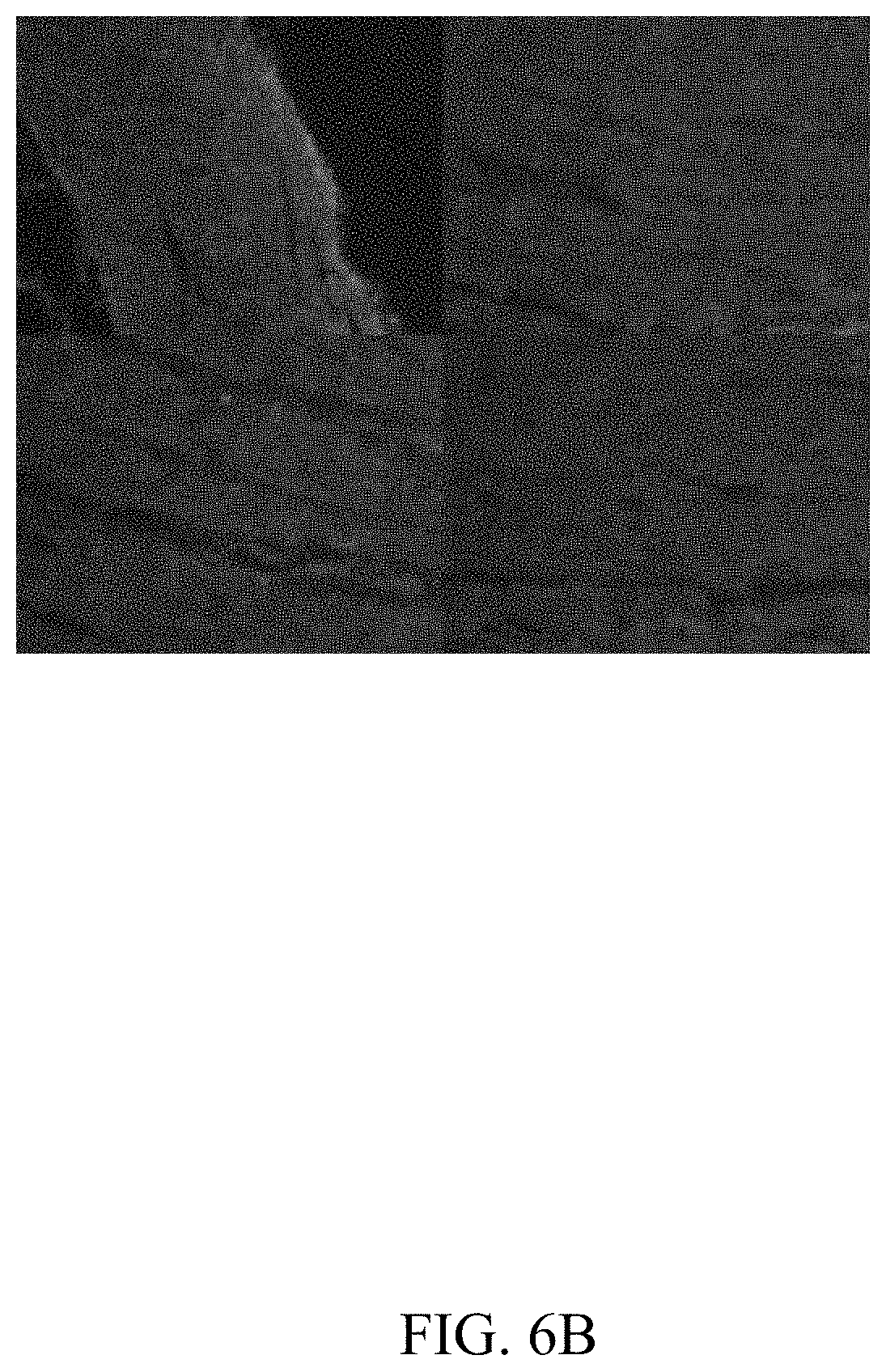 Patent US11781144 Figure 9 – Inhibition of oxidative stress in atrial fibrillation