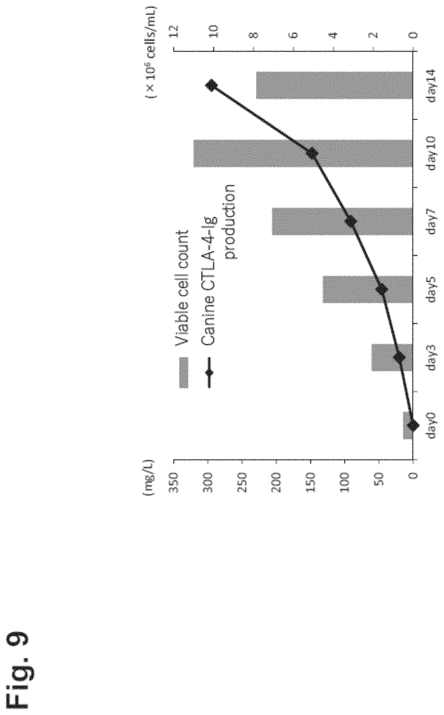 Patent US11781146 Figure 9 – Vector including a translation-impaired dihydrofolate reductase gene cassette and ubiquitously acting chromatin opening element