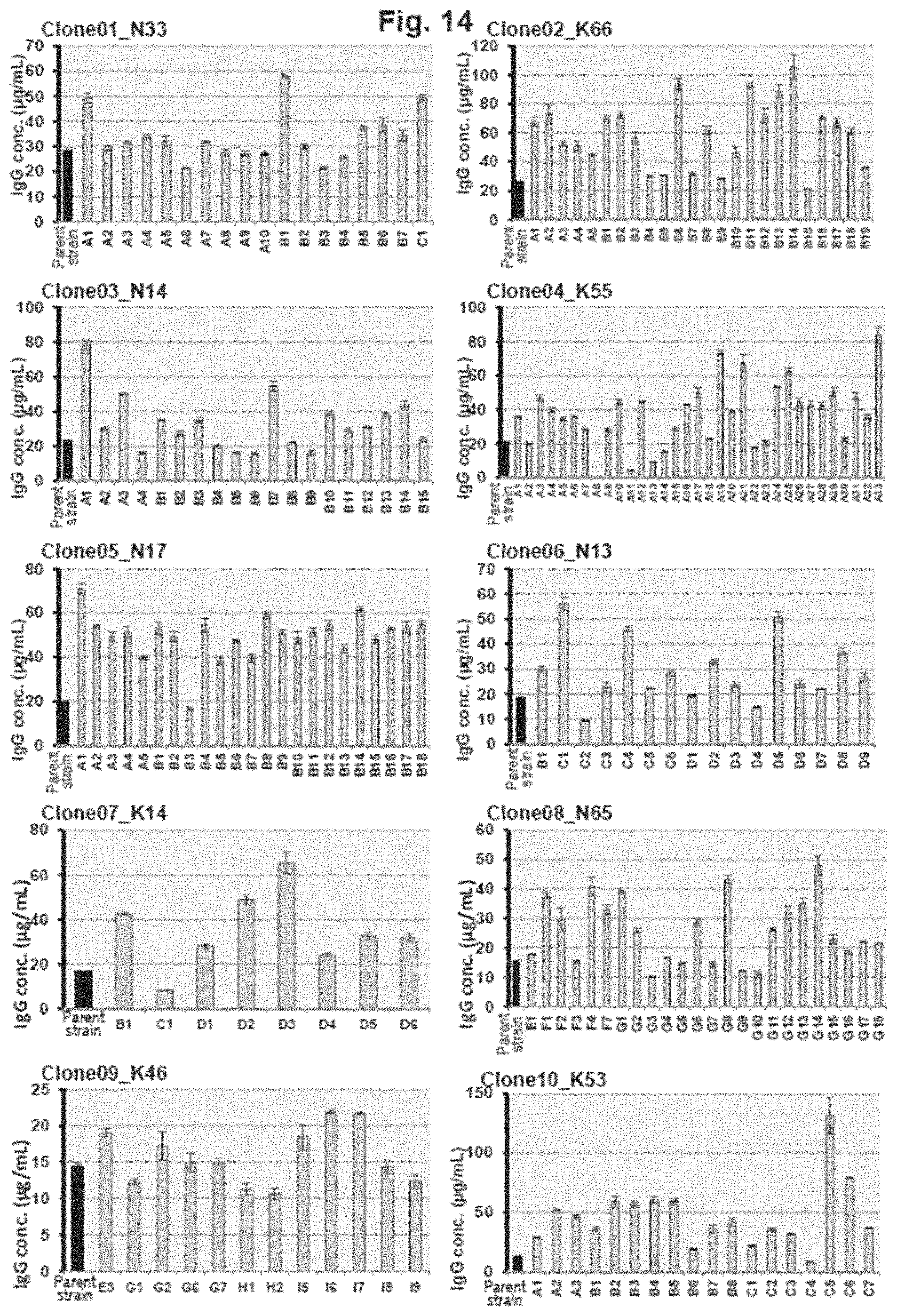 Patent US11781146 Figure 14 – Vector including a translation-impaired dihydrofolate reductase gene cassette and ubiquitously acting chromatin opening element
