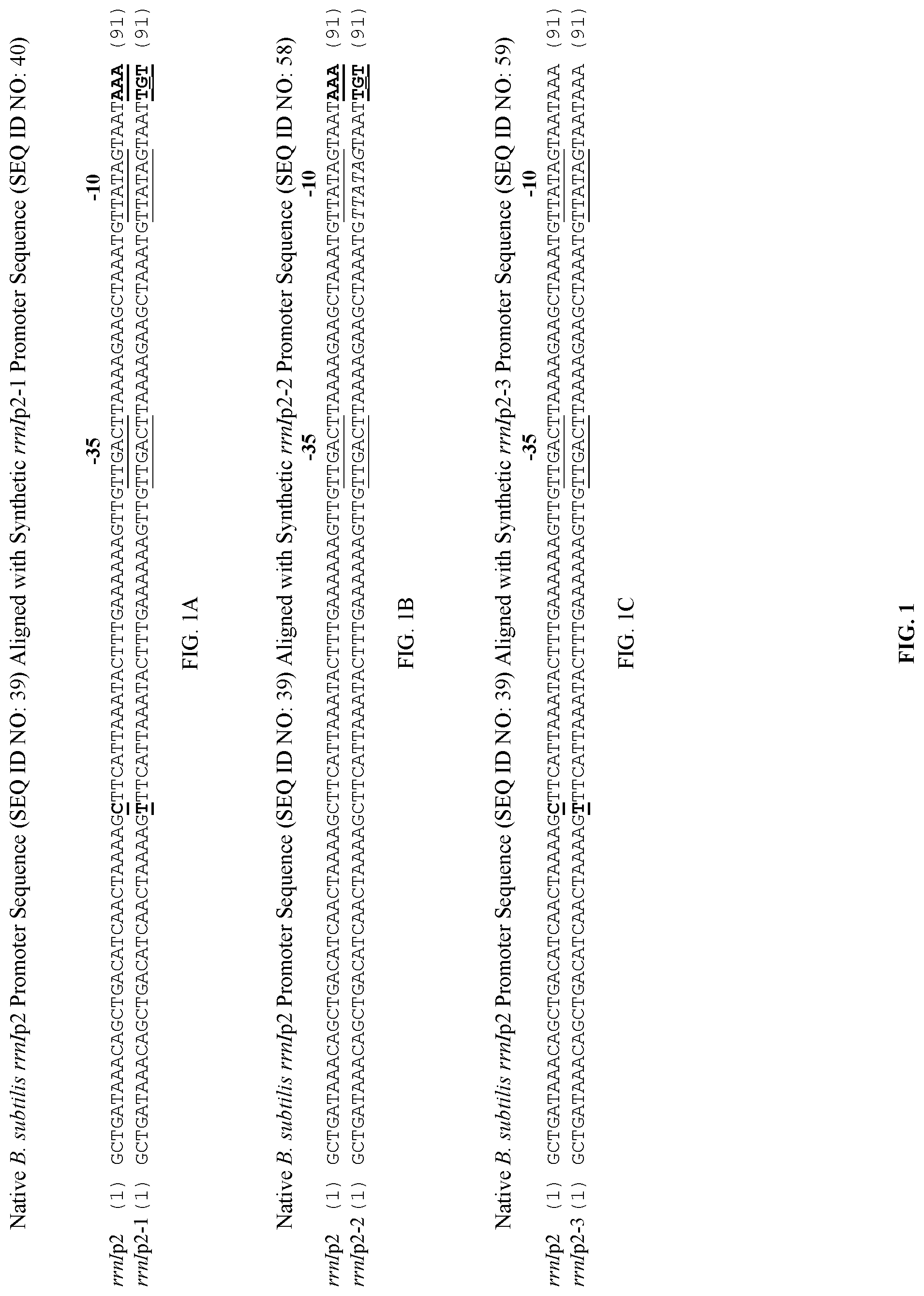 Patent US11781147 Figure 1 – Promoter sequences and methods thereof for enhanced protein production in Bacillus cells