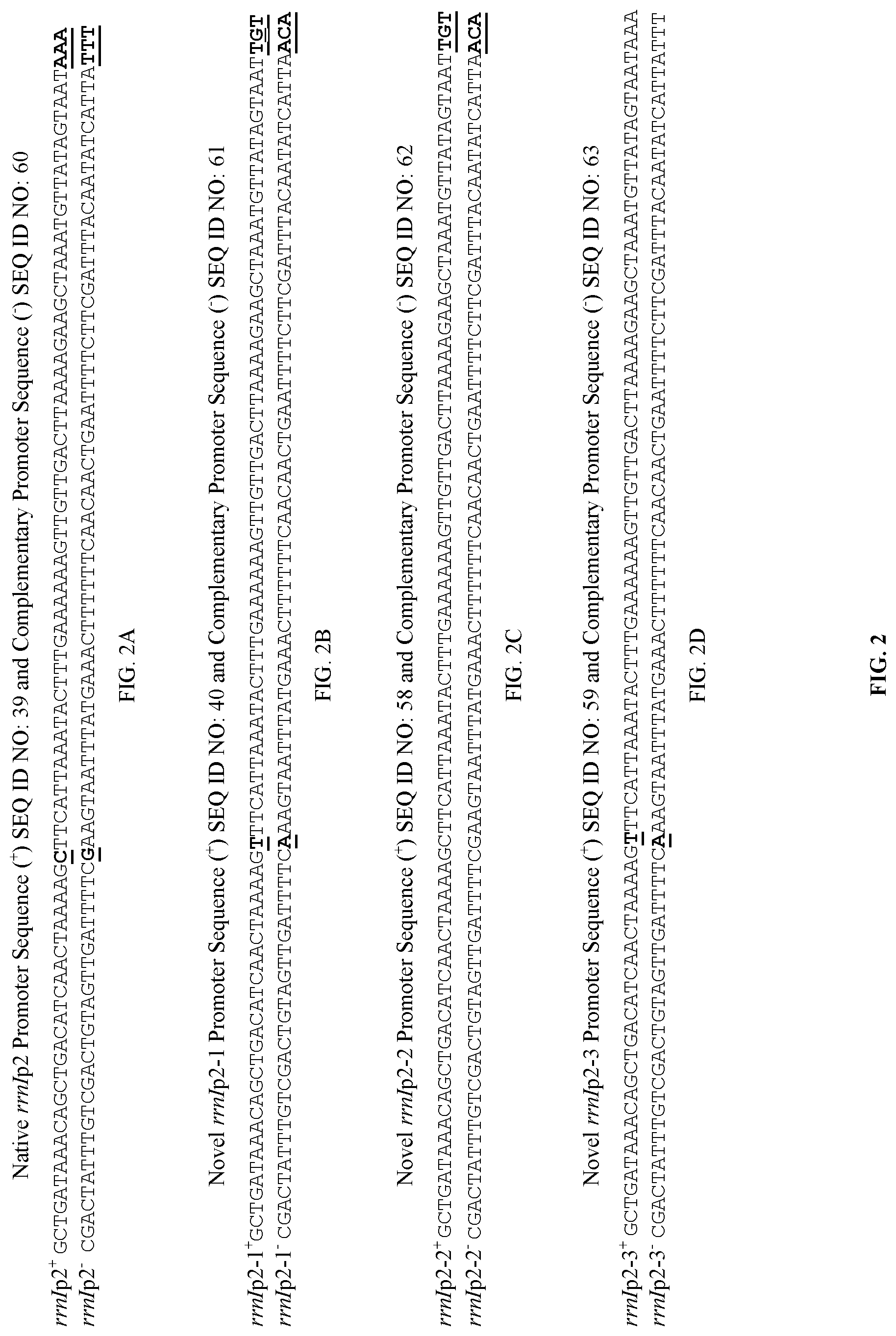 Patent US11781147 Figure 2 – Promoter sequences and methods thereof for enhanced protein production in Bacillus cells