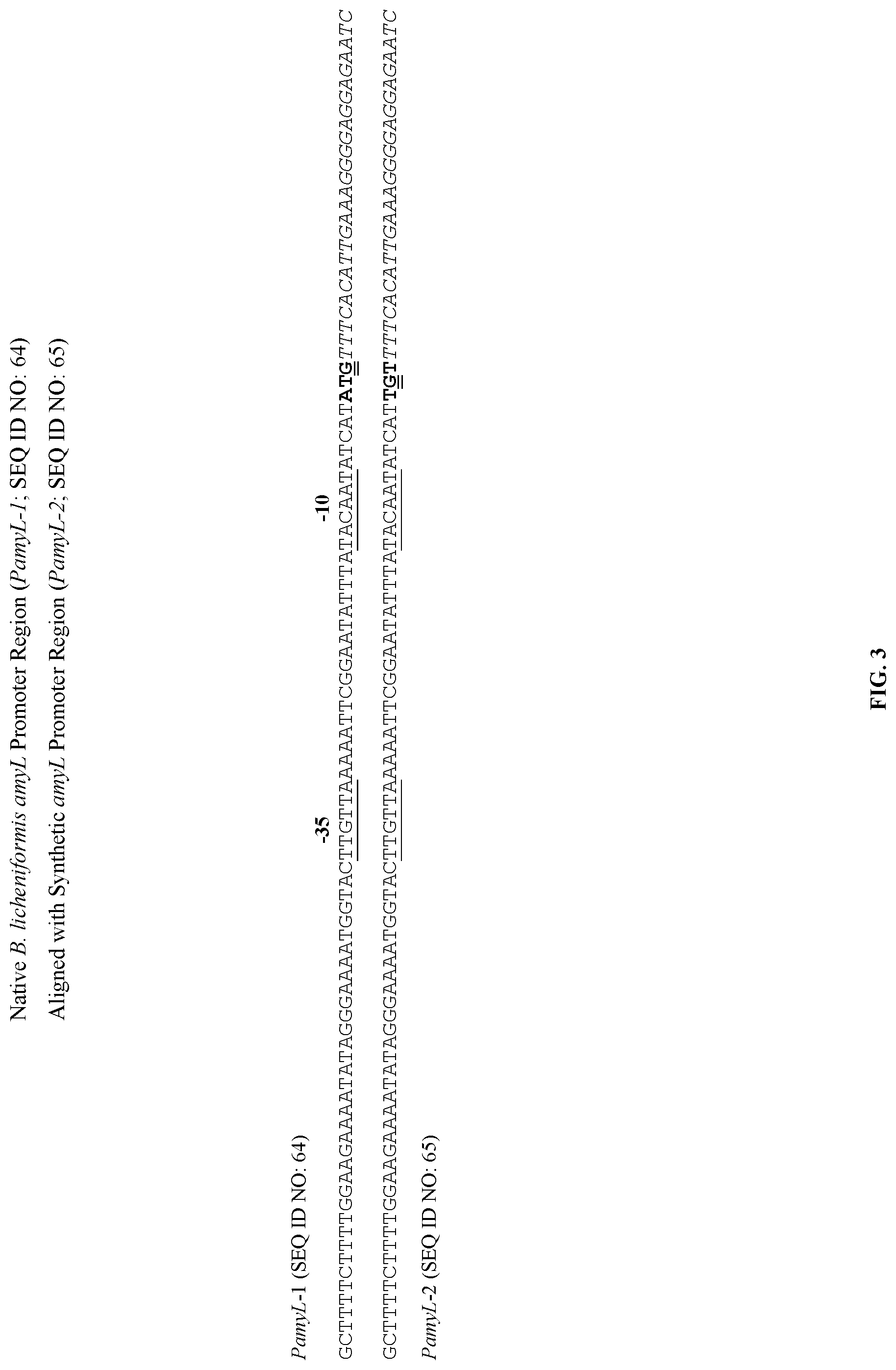 Patent US11781147 Figure 3 – Promoter sequences and methods thereof for enhanced protein production in Bacillus cells