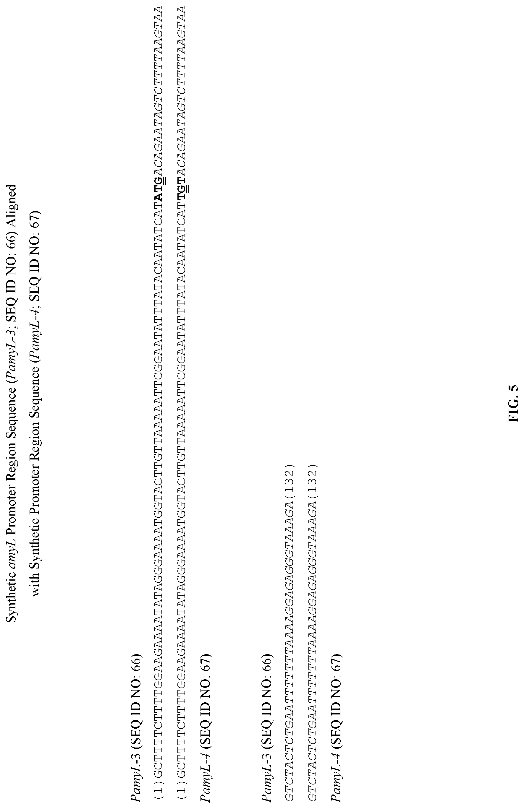 Patent US11781147 Figure 5 – Promoter sequences and methods thereof for enhanced protein production in Bacillus cells