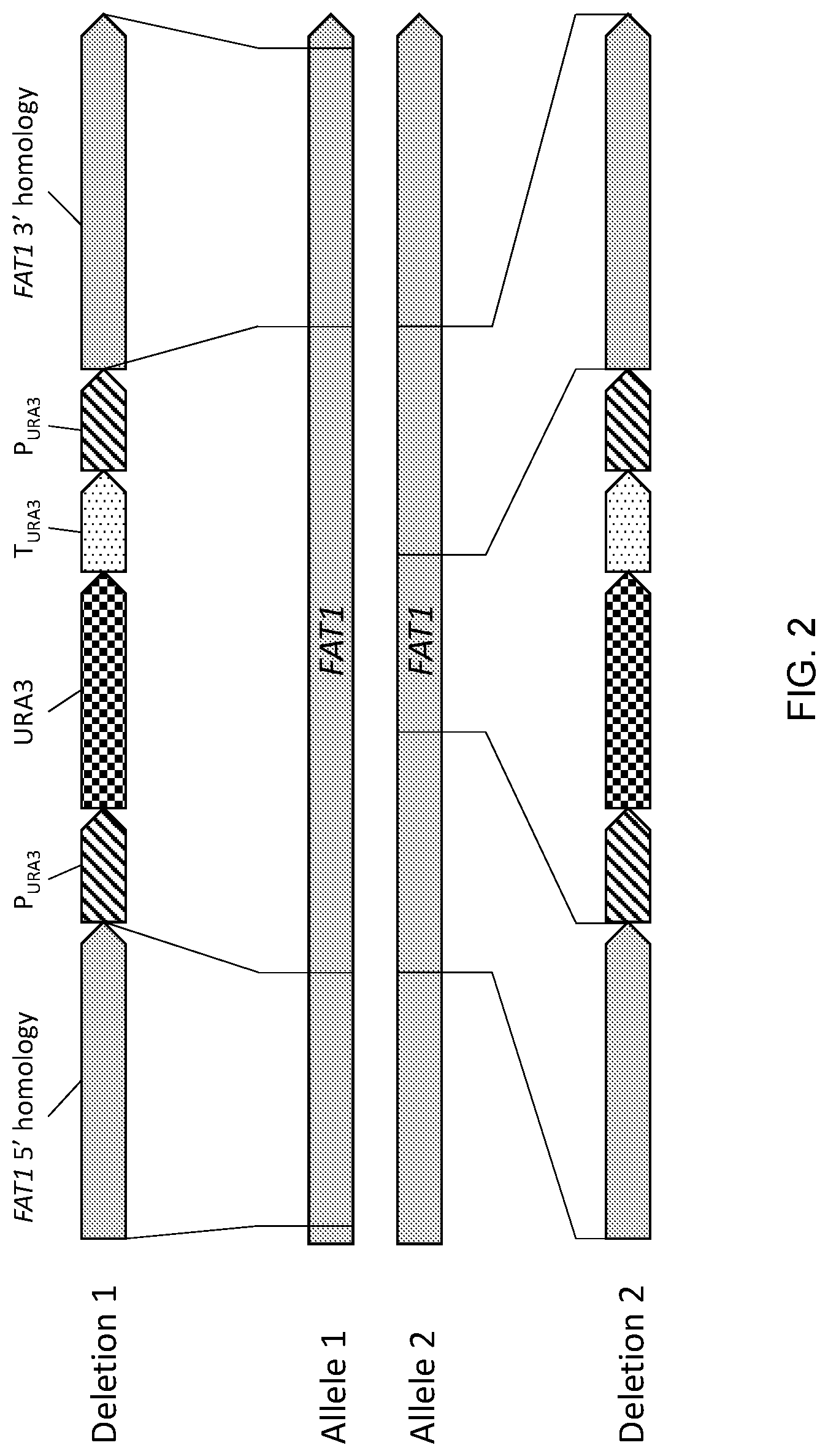 Patent US11781148 Figure 2 – Biological methods for preparing terpenes