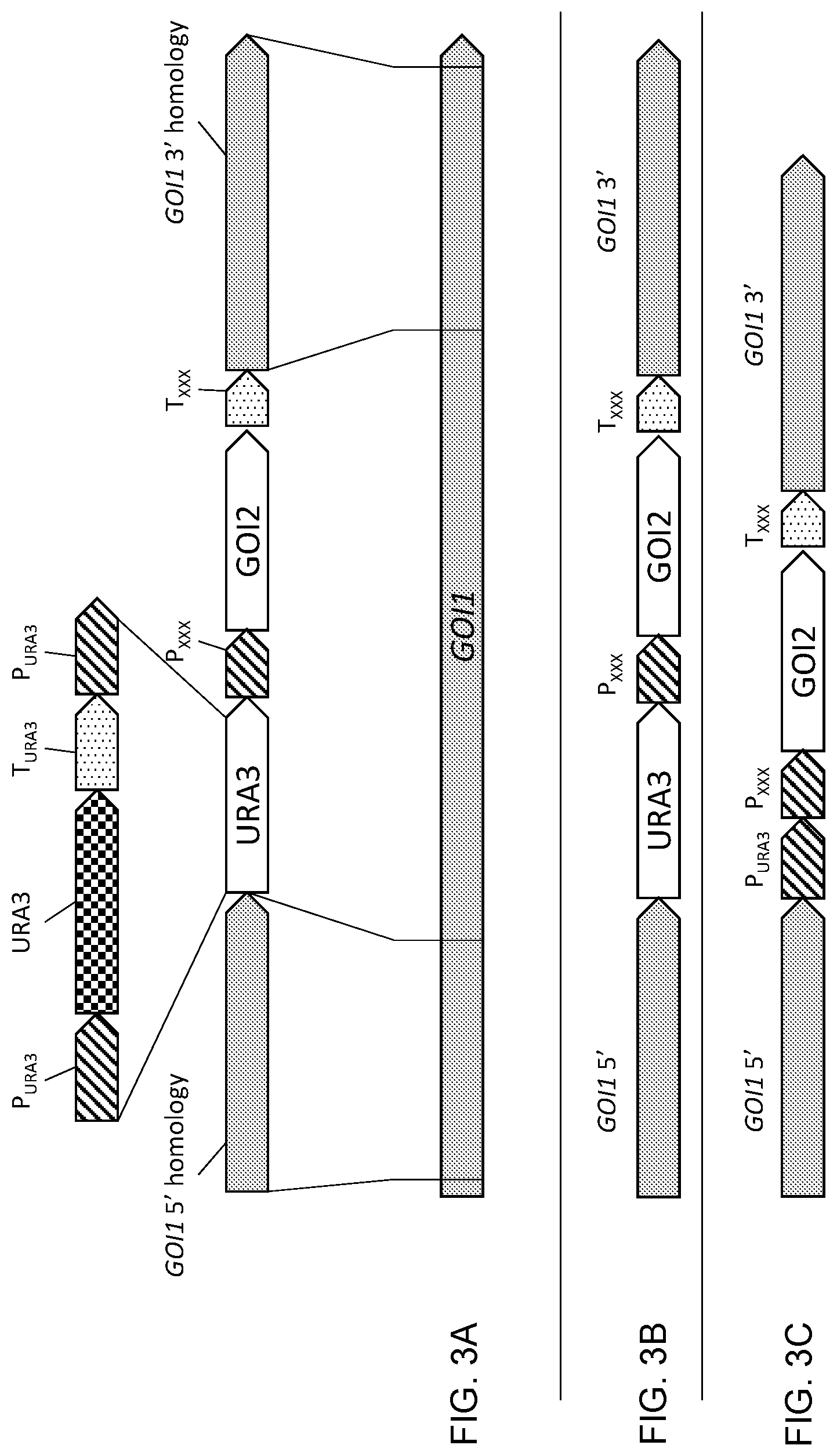 Patent US11781148 Figure 3 – Biological methods for preparing terpenes