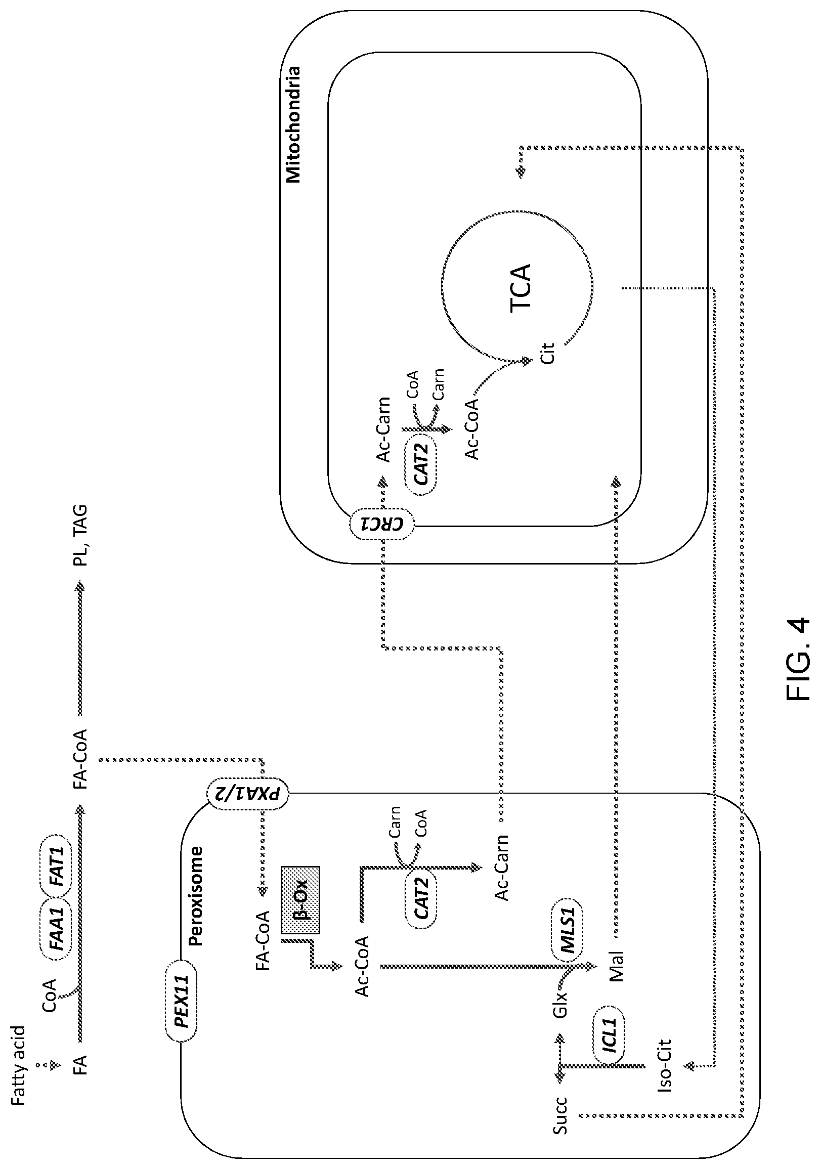 Patent US11781148 Figure 4 – Biological methods for preparing terpenes