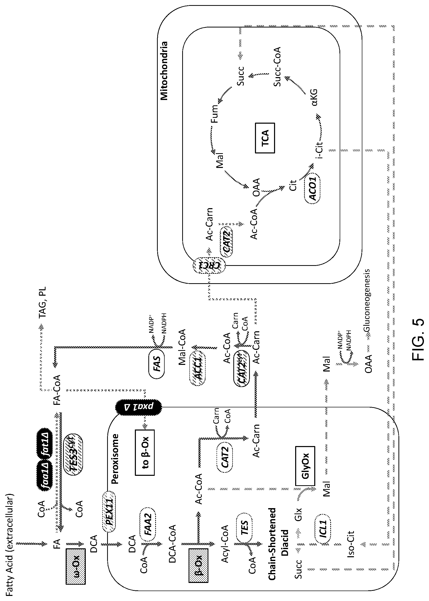 Patent US11781148 Figure 5 – Biological methods for preparing terpenes