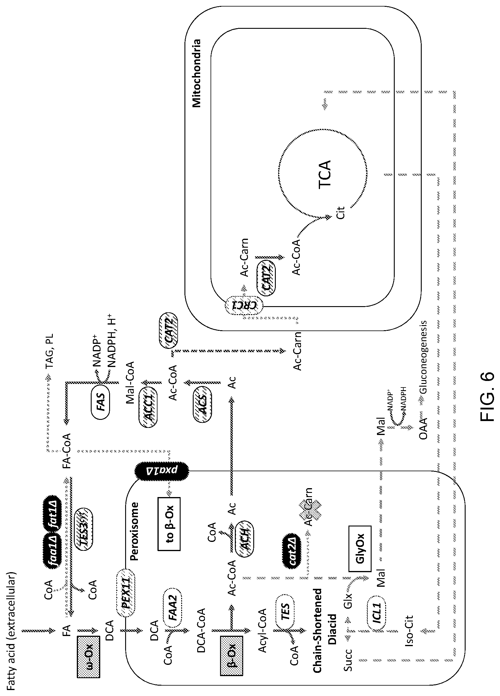 Patent US11781148 Figure 6 – Biological methods for preparing terpenes