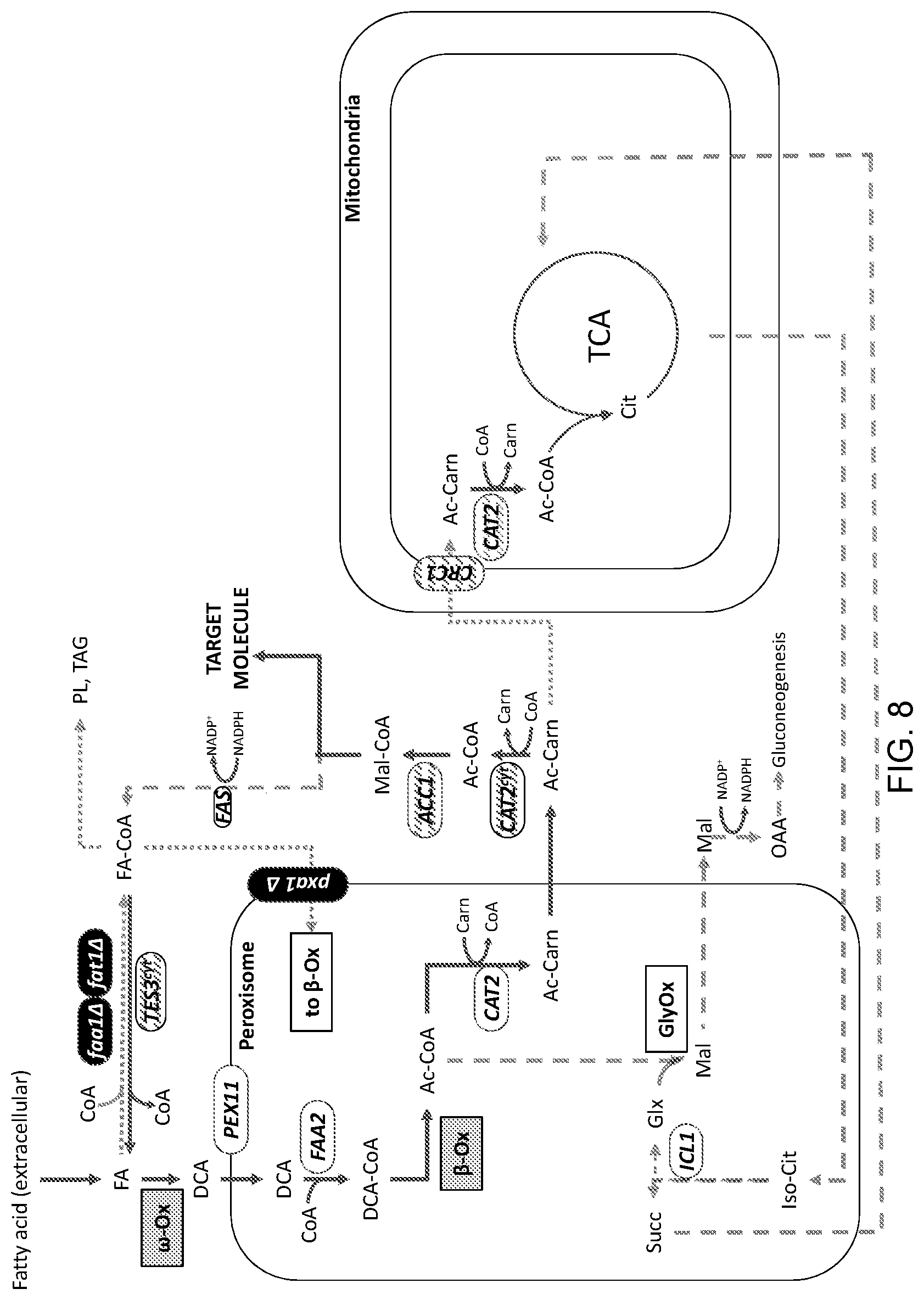 Patent US11781148 Figure 8 – Biological methods for preparing terpenes
