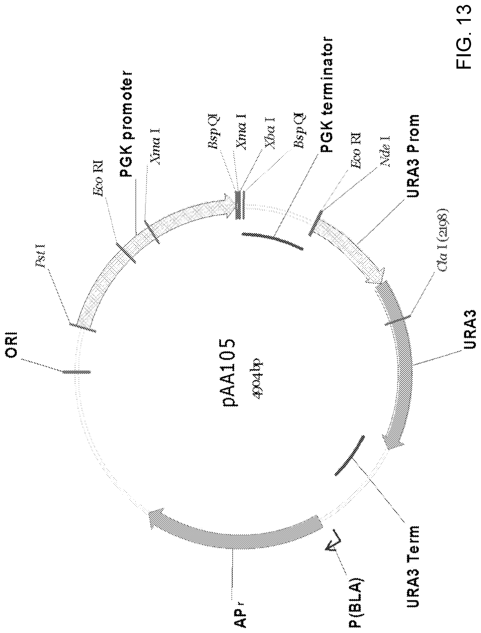 Patent US11781148 Figure 13 – Biological methods for preparing terpenes