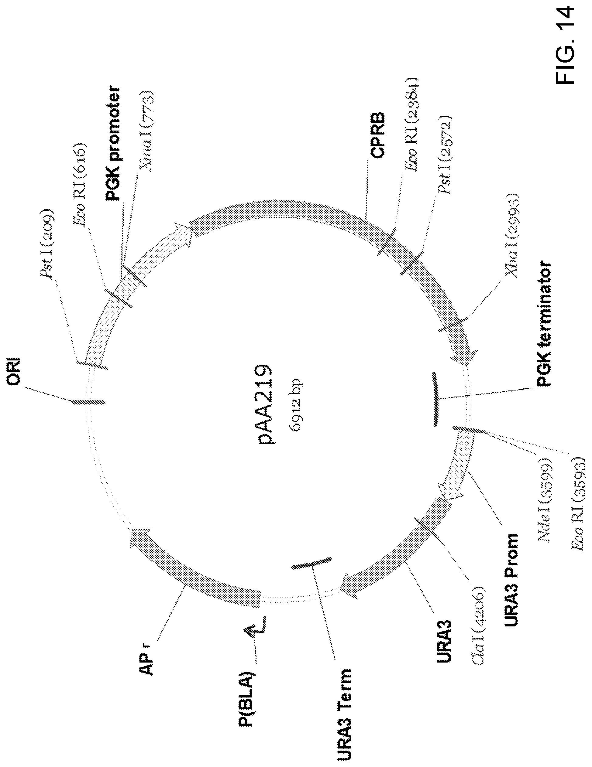 Patent US11781148 Figure 14 – Biological methods for preparing terpenes