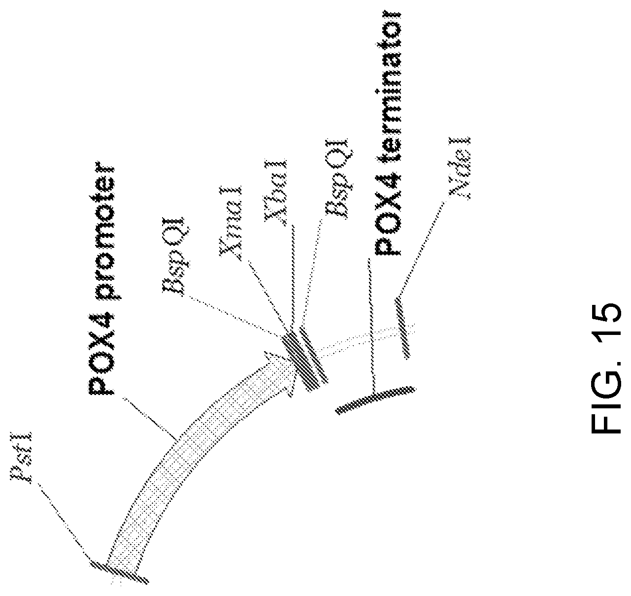 Patent US11781148 Figure 15 – Biological methods for preparing terpenes