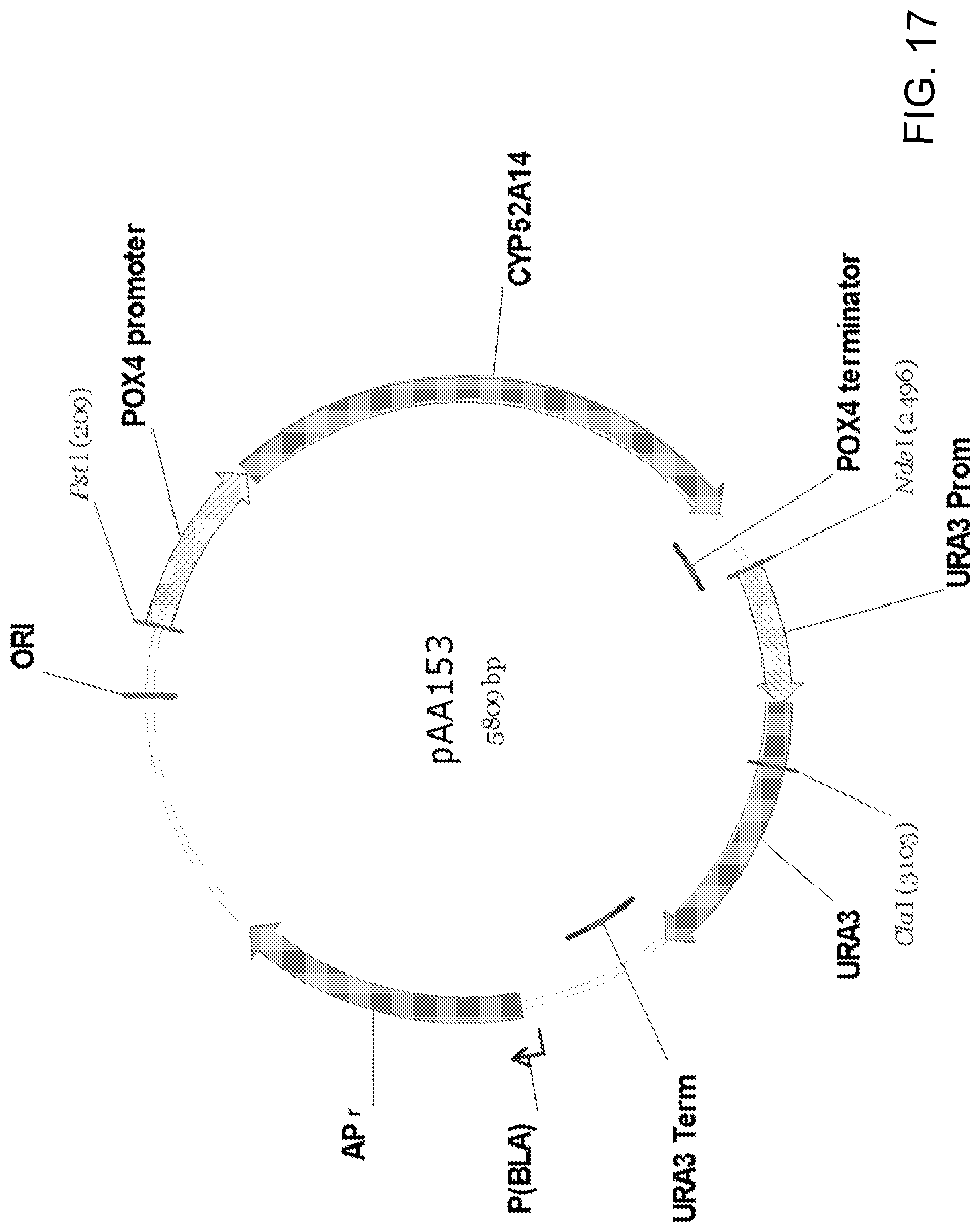 Patent US11781148 Figure 17 – Biological methods for preparing terpenes