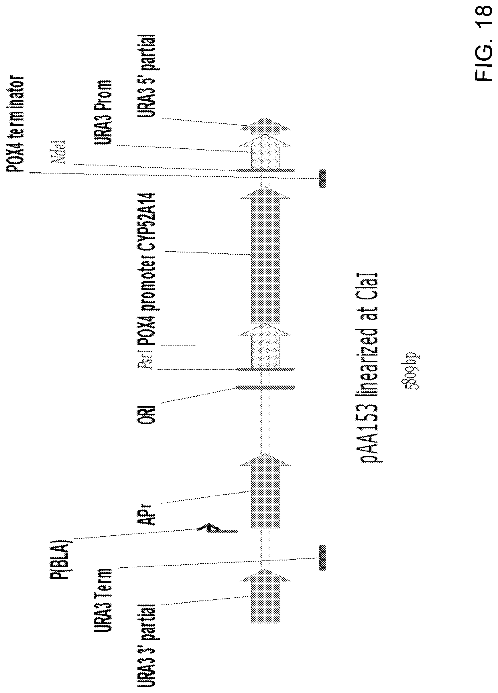 Patent US11781148 Figure 18 – Biological methods for preparing terpenes