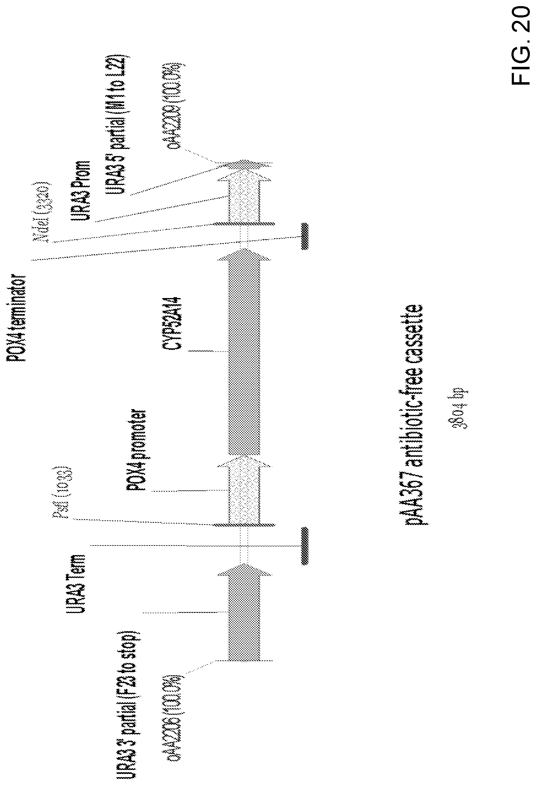 Patent US11781148 Figure 20 – Biological methods for preparing terpenes