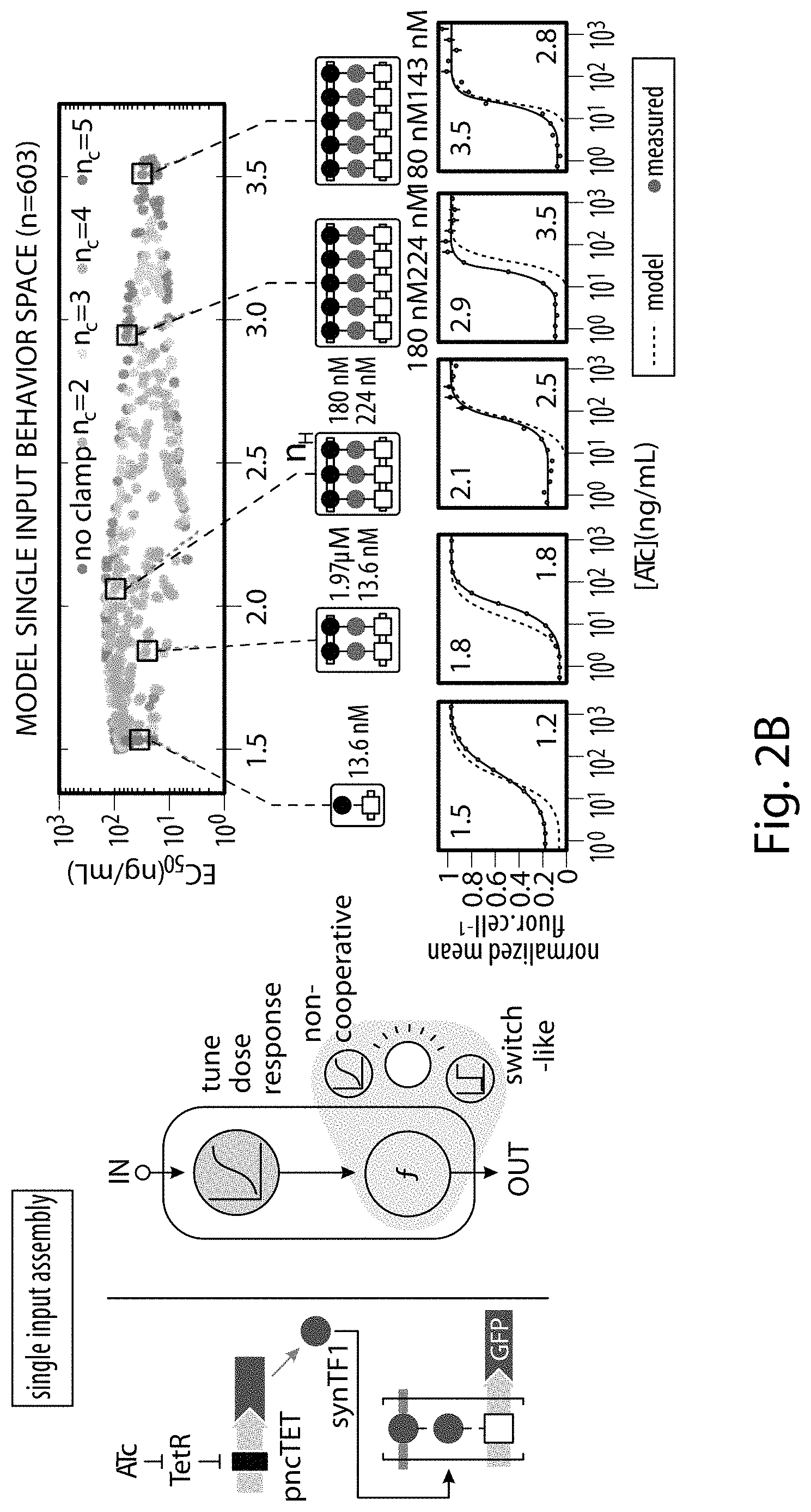 Patent US11781149 Figure 3 – Systems and methods for control of gene expression