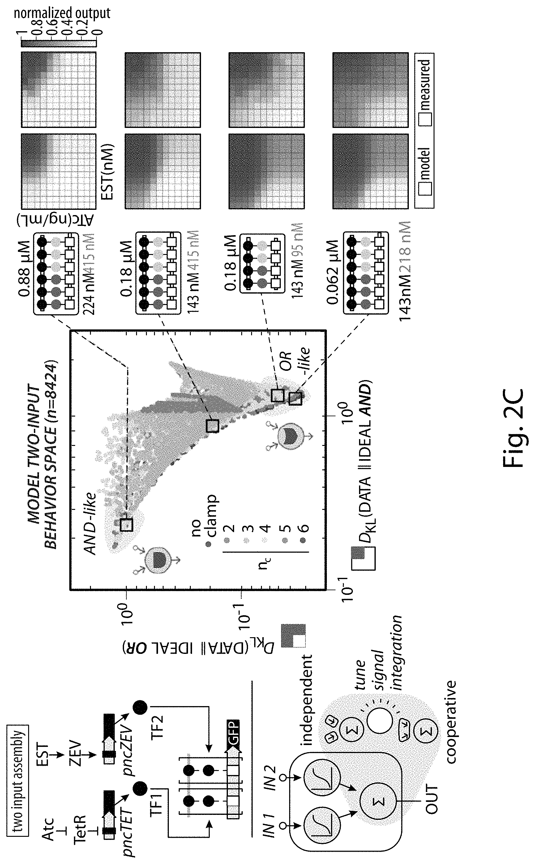 Patent US11781149 Figure 4 – Systems and methods for control of gene expression
