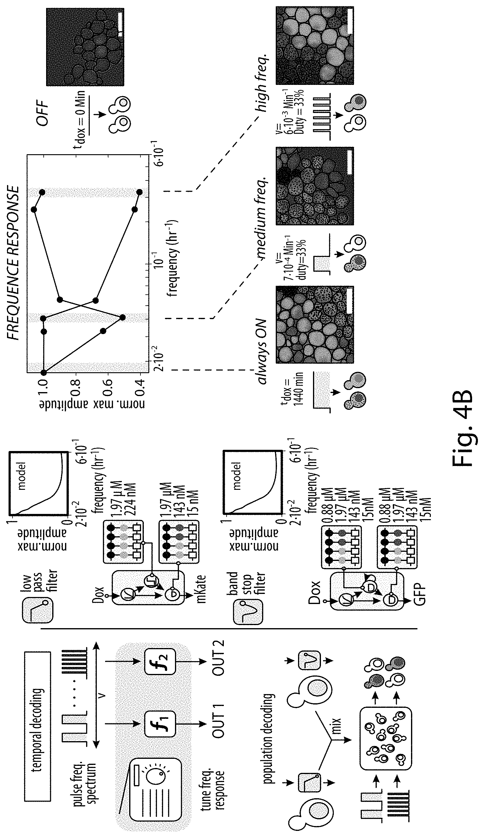 Patent US11781149 Figure 8 – Systems and methods for control of gene expression
