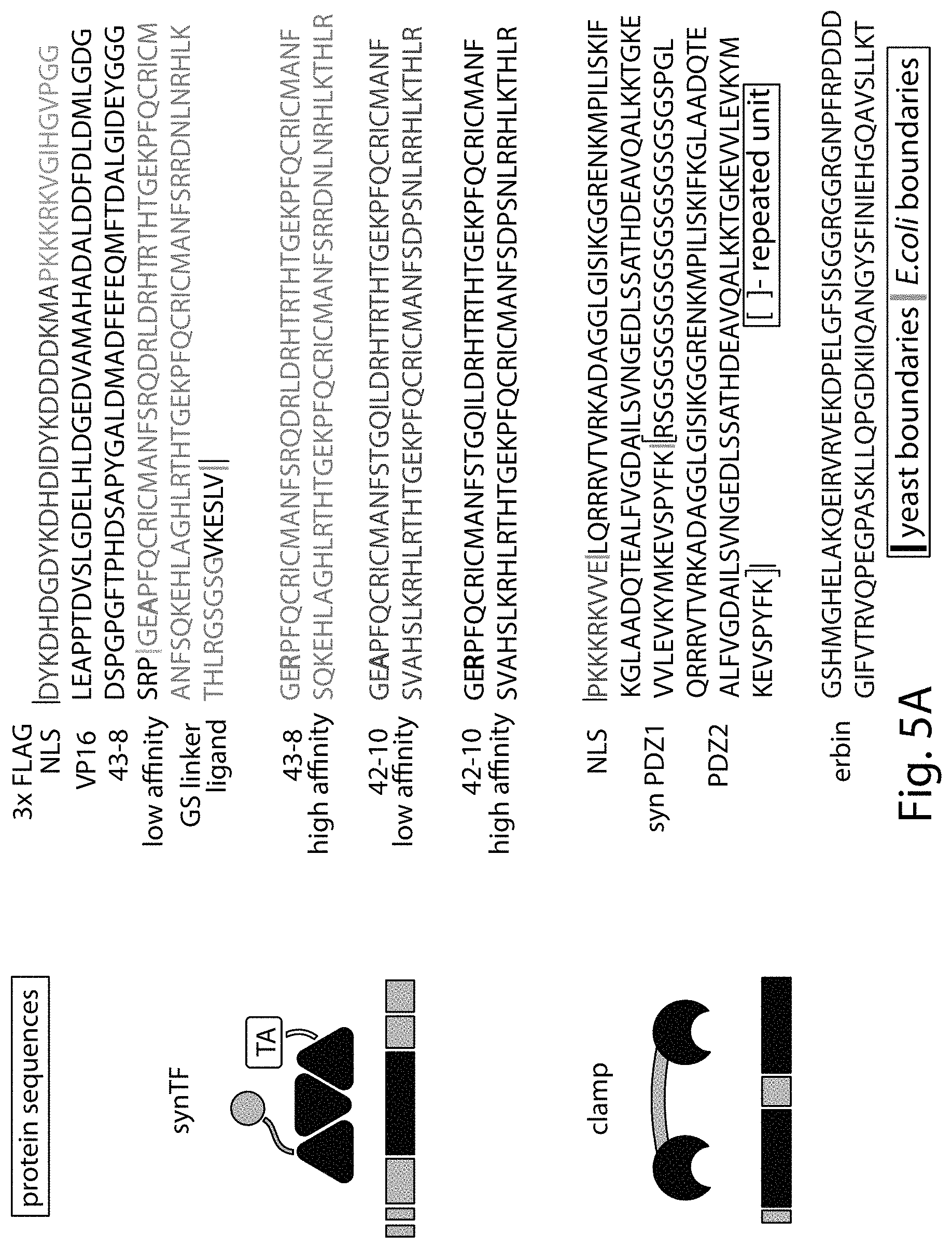 Patent US11781149 Figure 9 – Systems and methods for control of gene expression