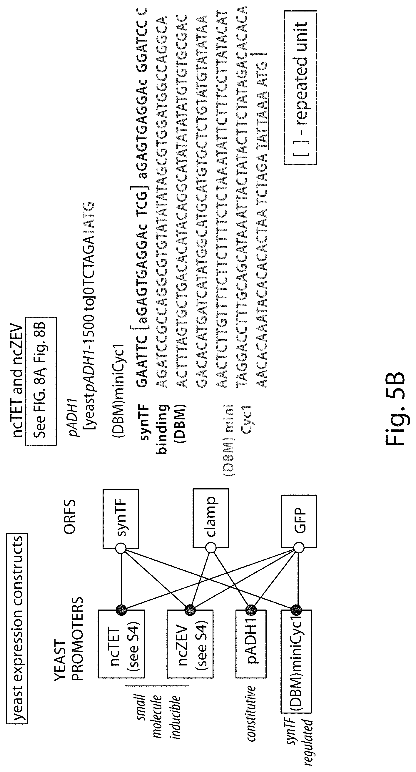 Patent US11781149 Figure 10 – Systems and methods for control of gene expression