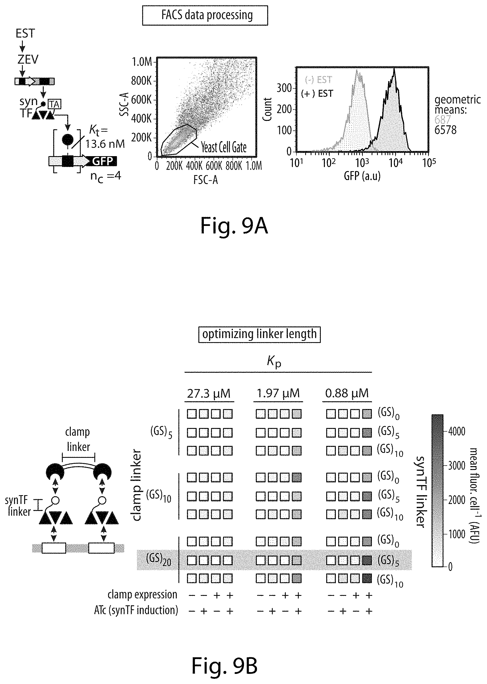 Patent US11781149 Figure 15 – Systems and methods for control of gene expression