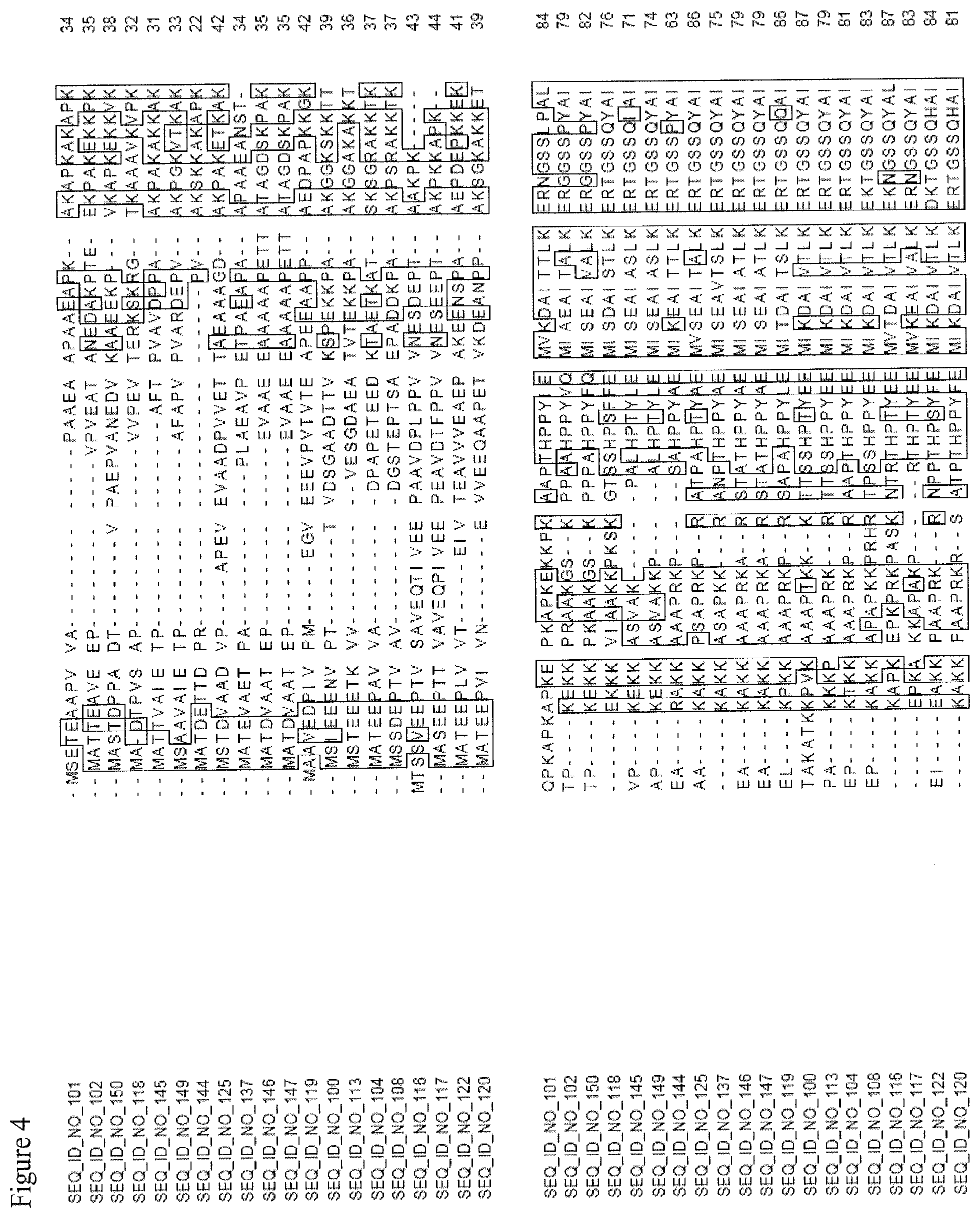 Patent US11781150 Figure 16 – Nucleotide sequences and corresponding polypeptides conferring improved nitrogen use efficiency characteristics in plants