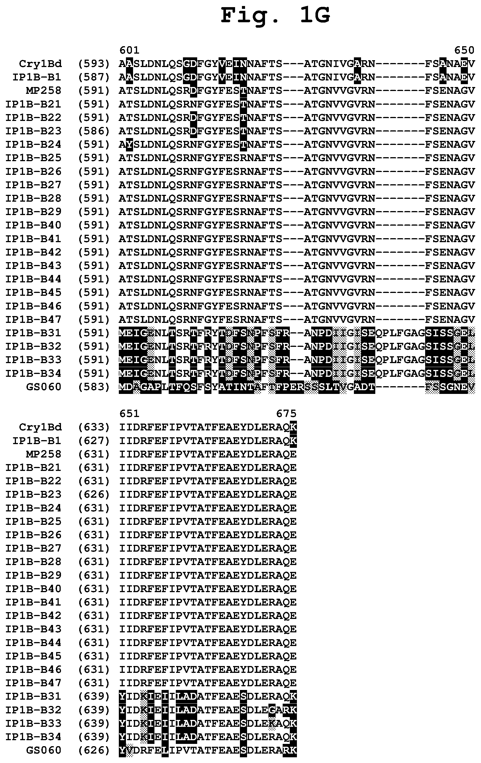 Patent US11781151 Figure 7 – Insecticidal CRY1B variants having improved activity spectrum and uses thereof