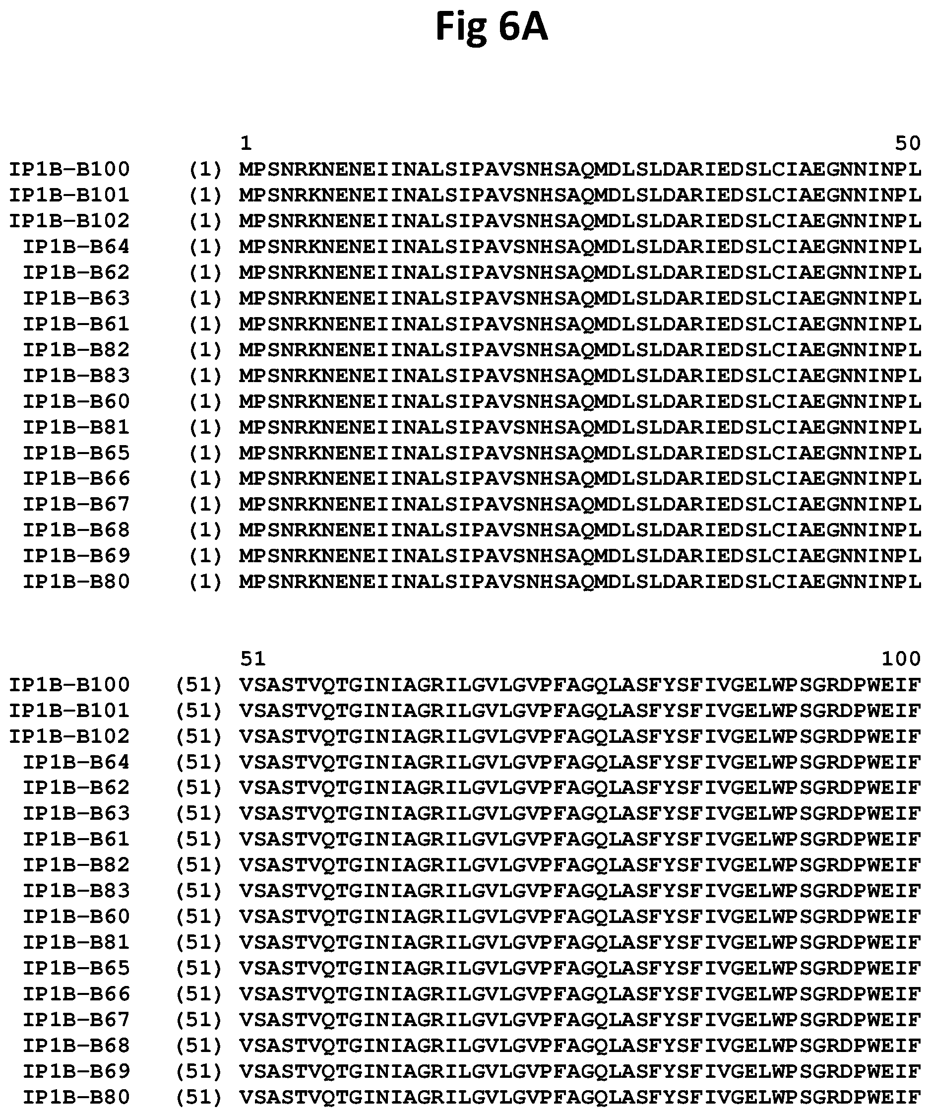 Patent US11781151 Figure 18 – Insecticidal CRY1B variants having improved activity spectrum and uses thereof