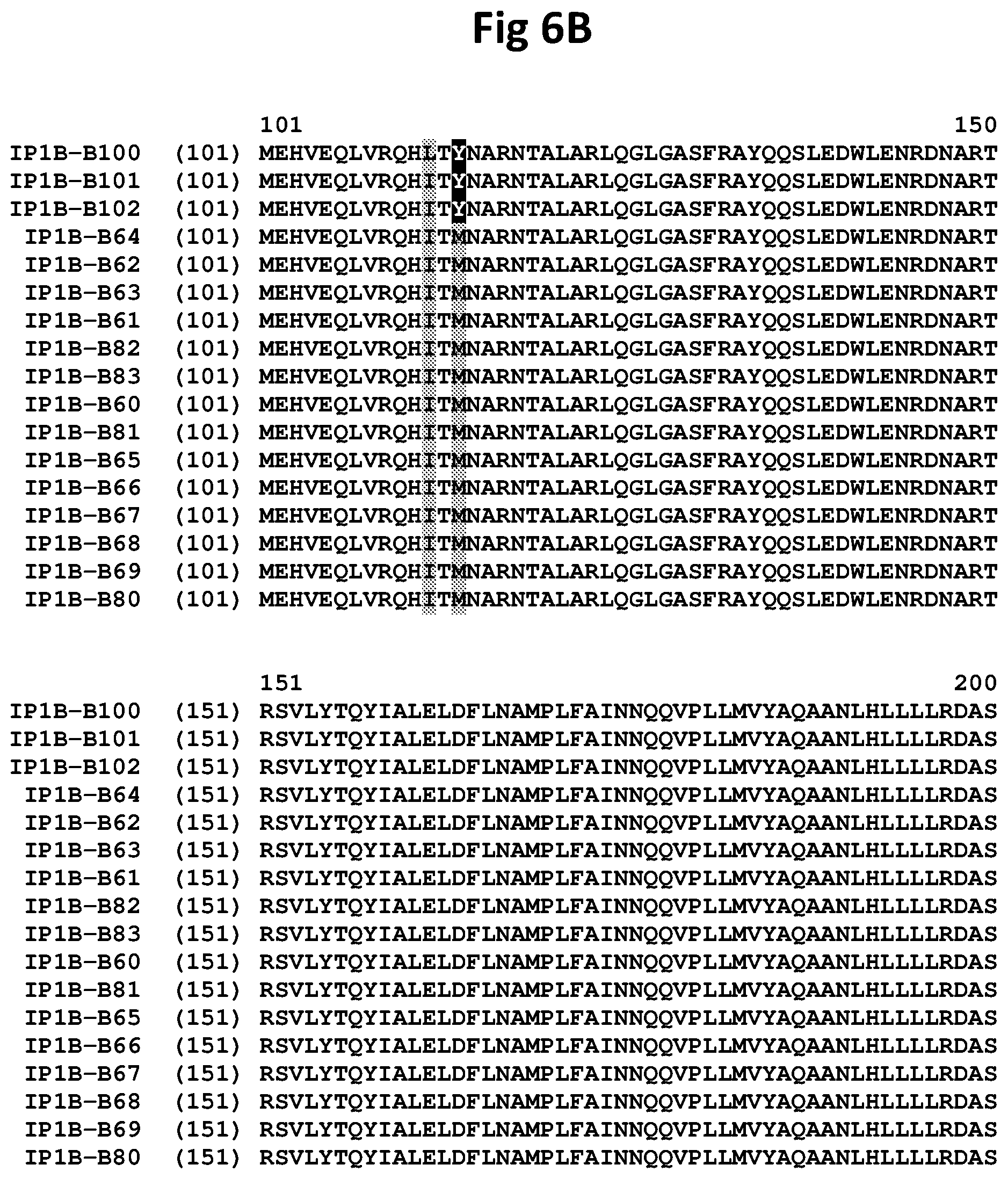 Patent US11781151 Figure 19 – Insecticidal CRY1B variants having improved activity spectrum and uses thereof