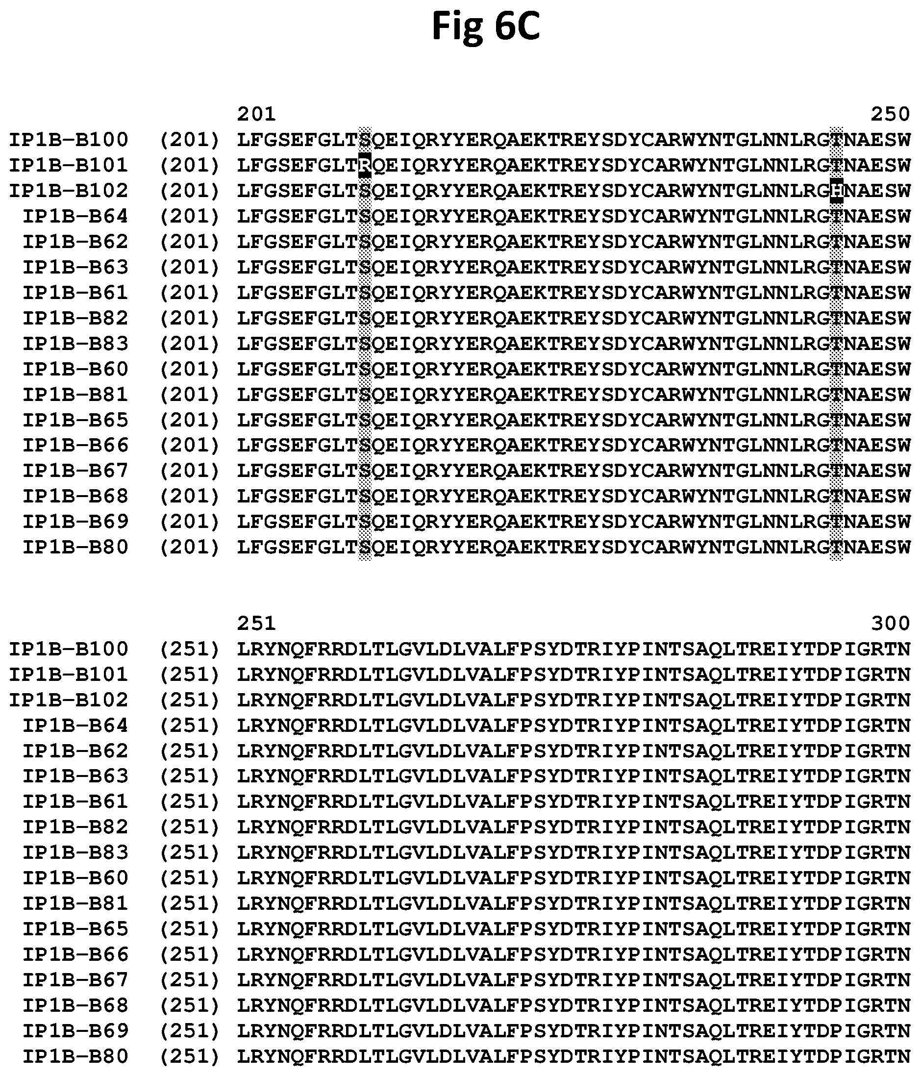 Patent US11781151 Figure 20 – Insecticidal CRY1B variants having improved activity spectrum and uses thereof