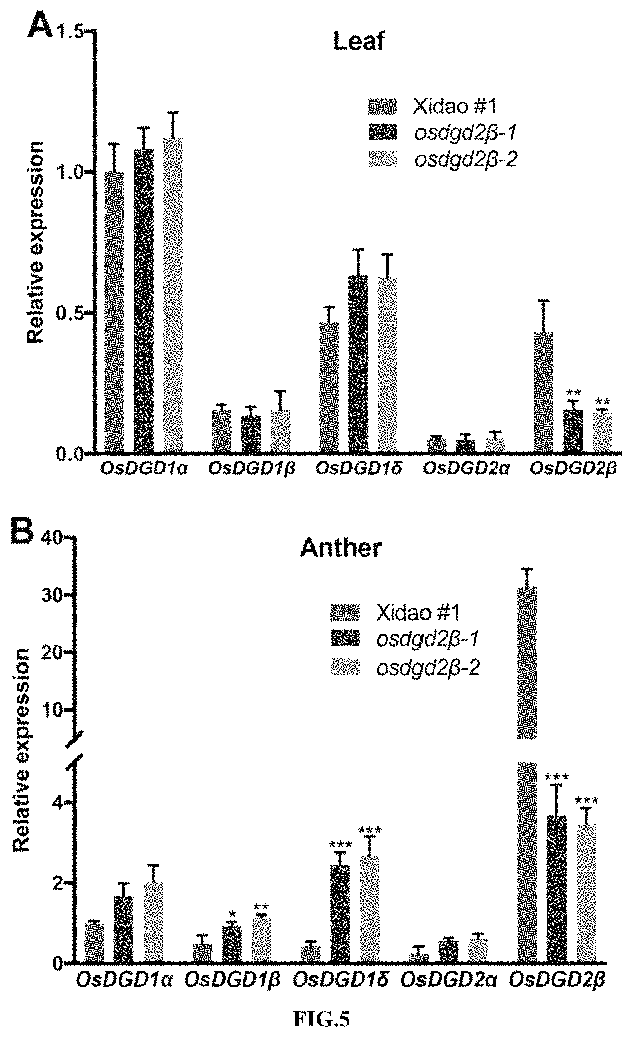 Patent US11781153 Figure 4 – Use of OsDGD2β gene in breeding of male sterile rice materials
