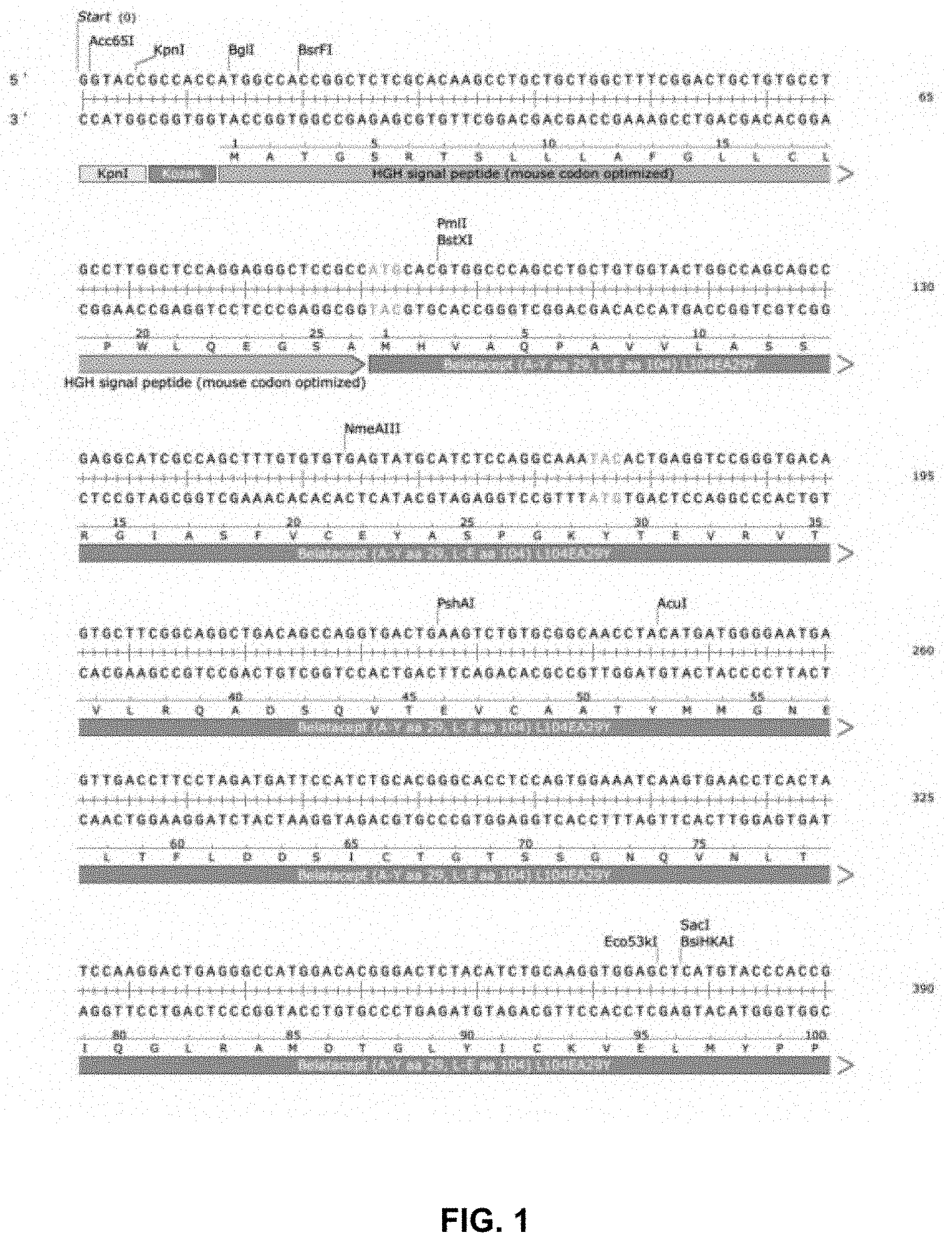 Patent US11781154 Figure 1 – Compositions and methods for regulating production of a fusion protein and ribonucleic acid