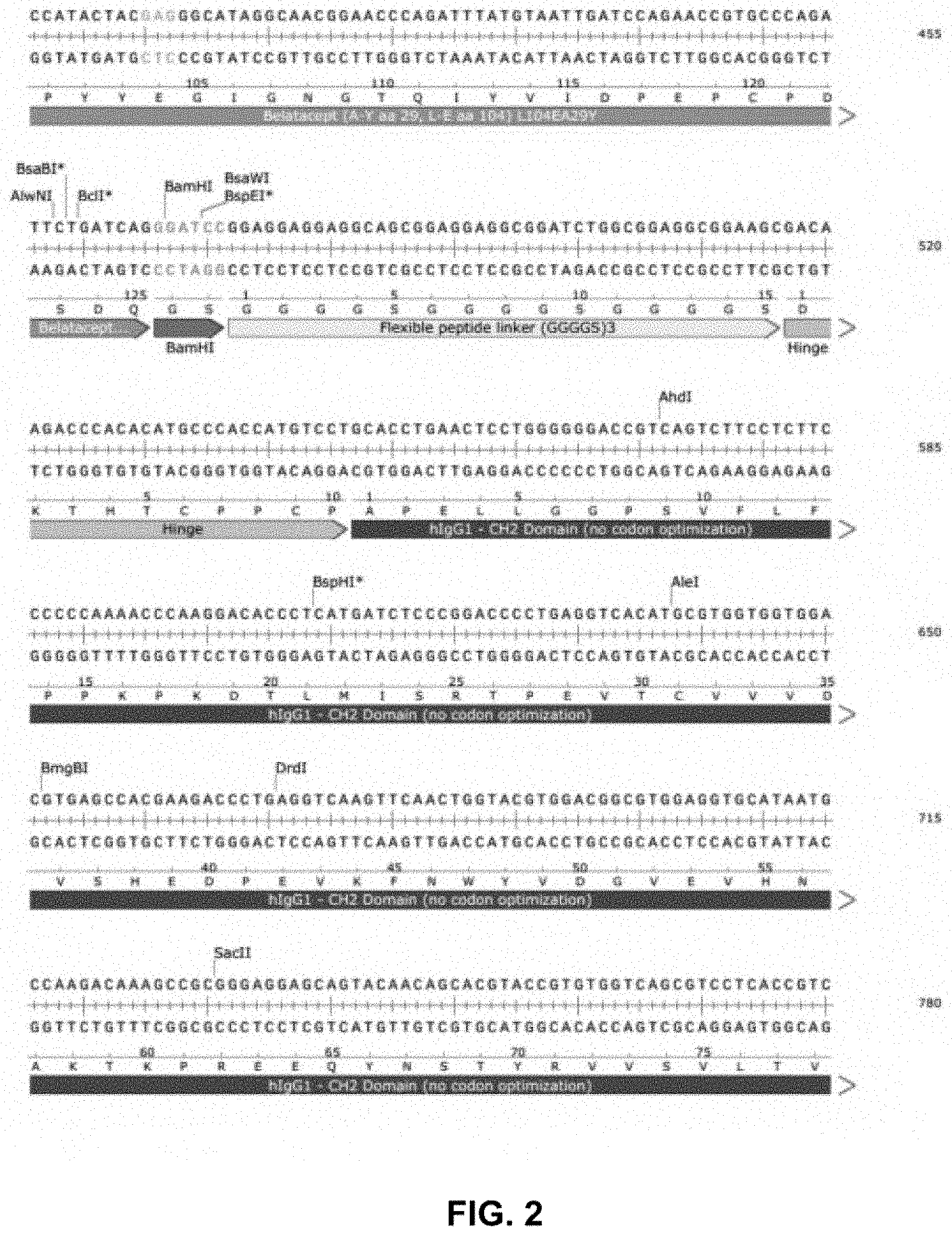 Patent US11781154 Figure 2 – Compositions and methods for regulating production of a fusion protein and ribonucleic acid