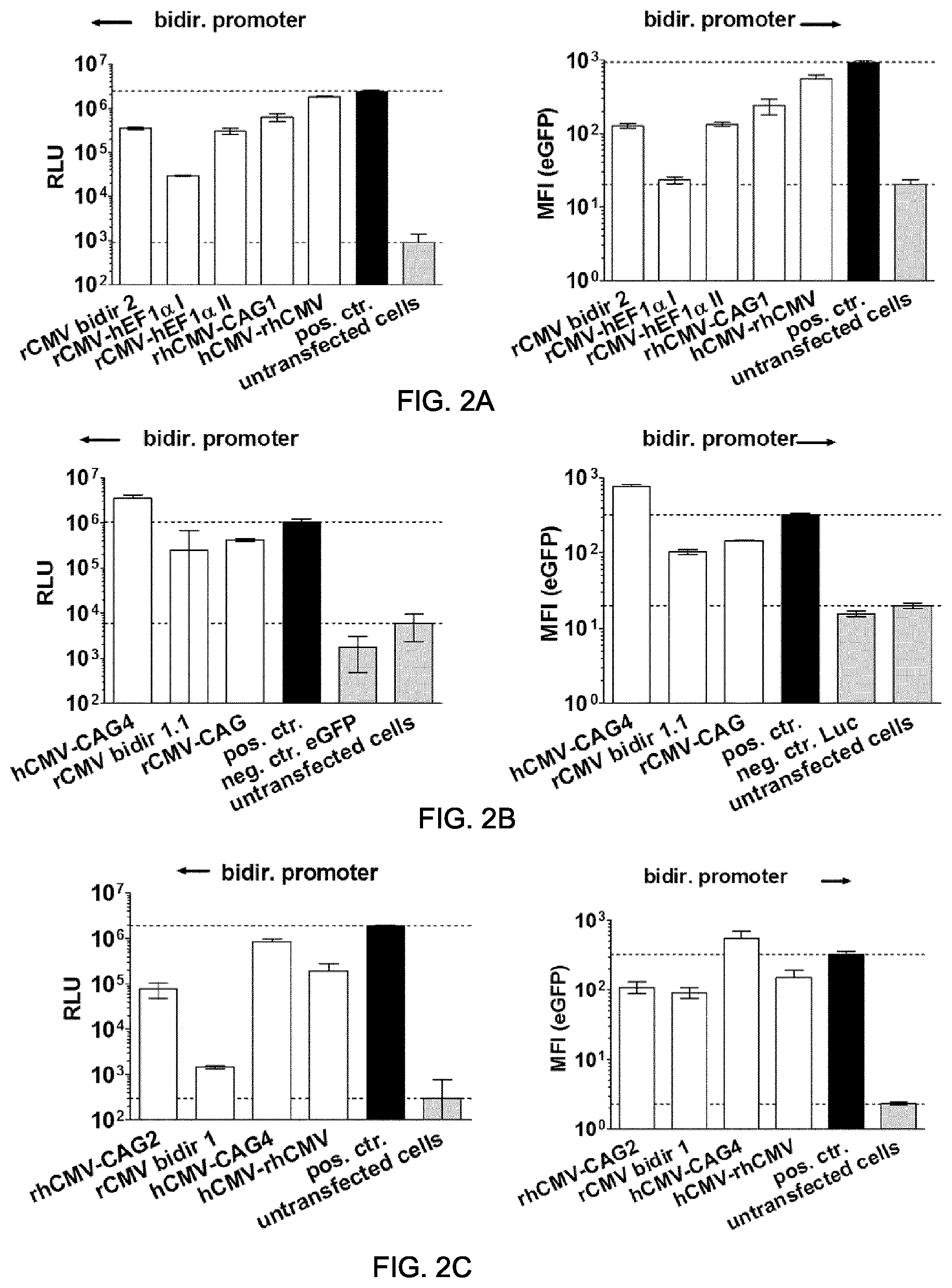 Patent US11781155 Figure 6 – Potent and balanced bidirectional promoter