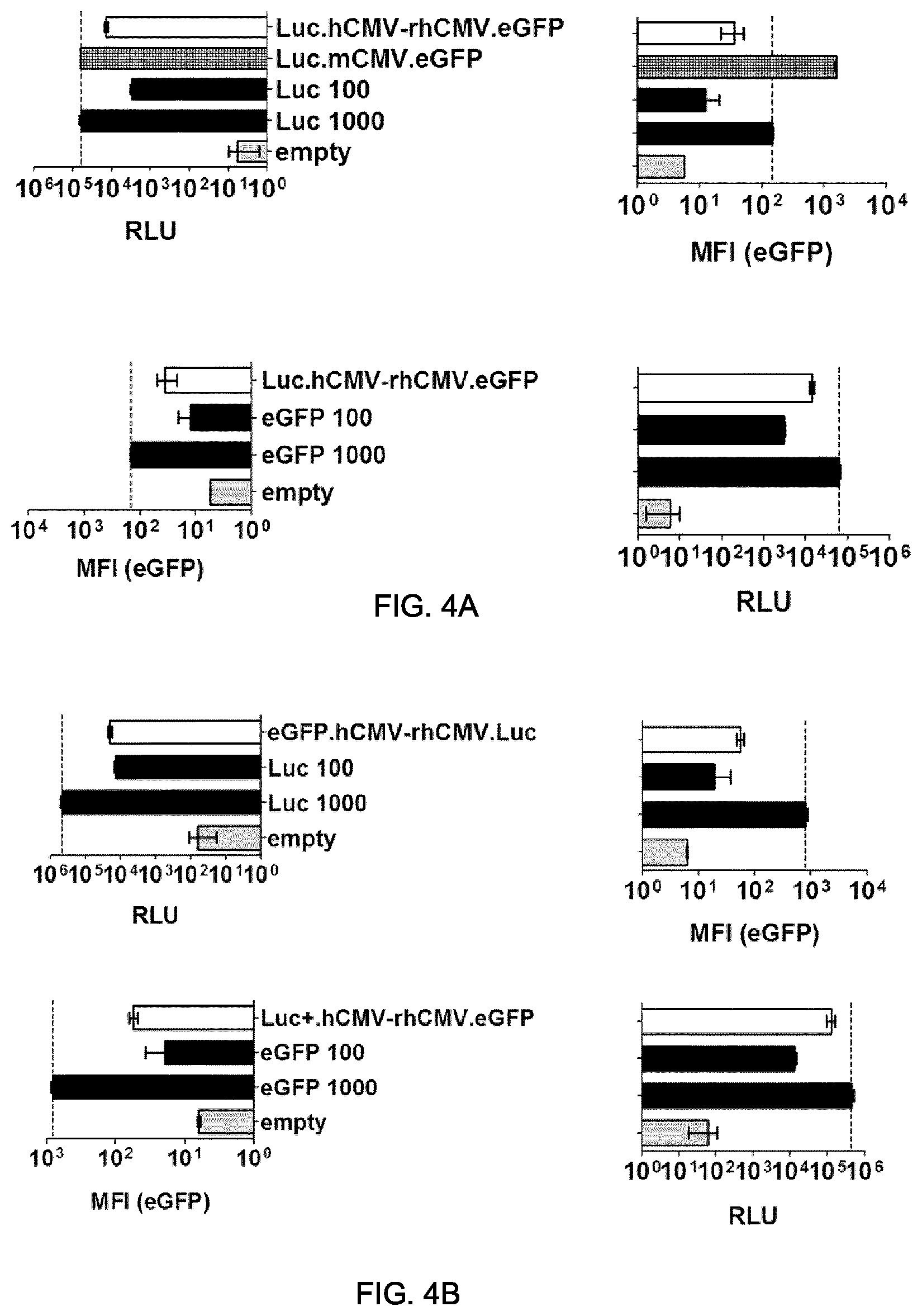 Patent US11781155 Figure 8 – Potent and balanced bidirectional promoter