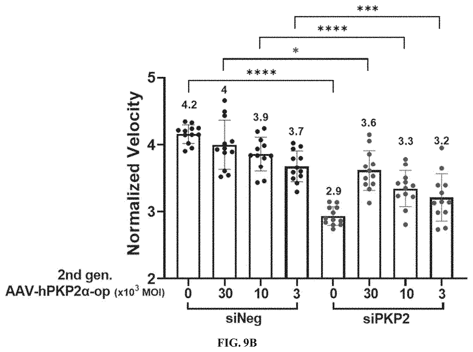 Patent US11781156 Figure 10 – Plakophillin-2 gene therapy methods and compositions