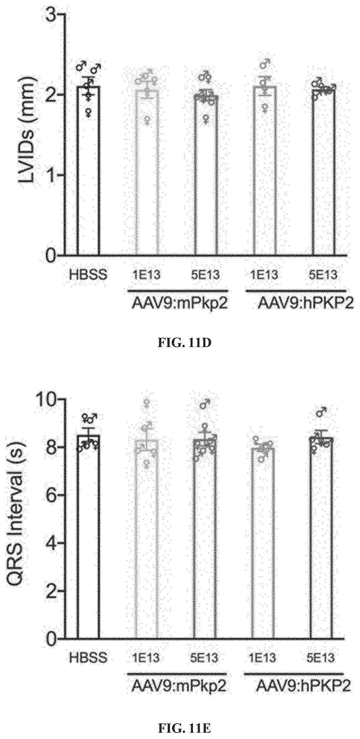 Patent US11781156 Figure 13 – Plakophillin-2 gene therapy methods and compositions