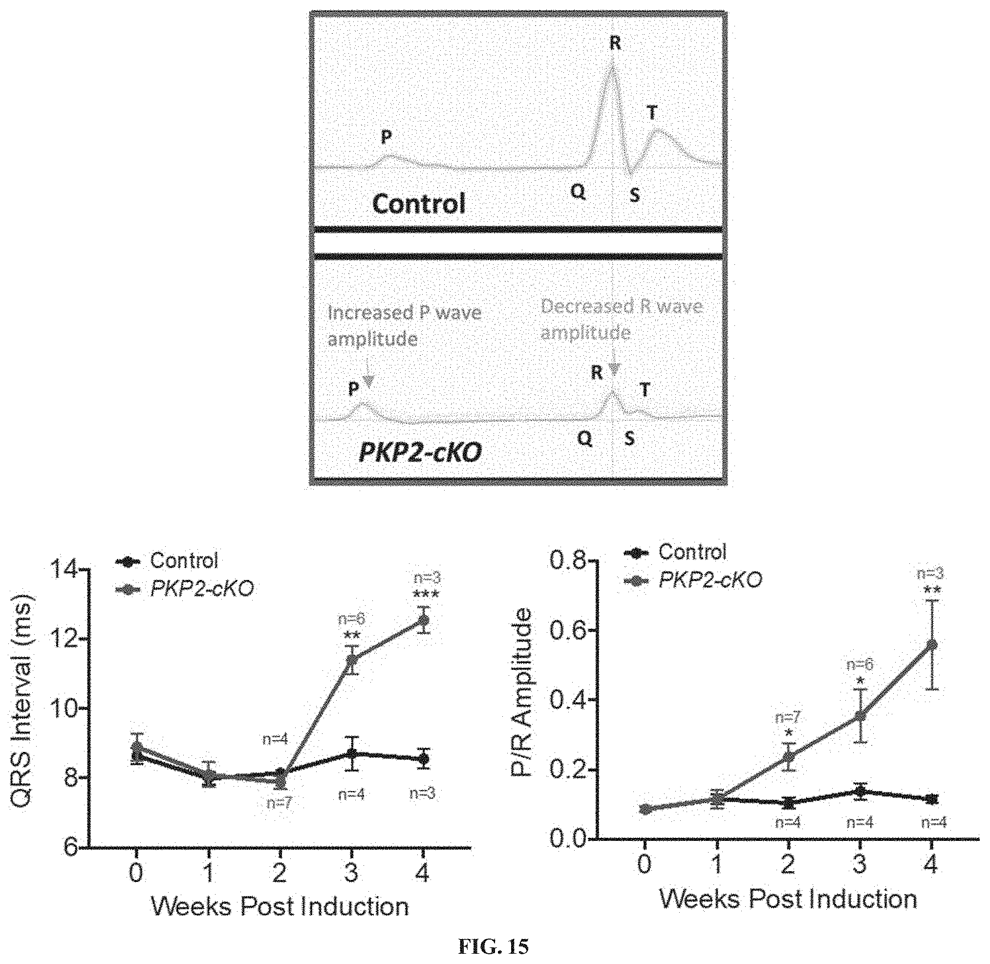 Patent US11781156 Figure 18 – Plakophillin-2 gene therapy methods and compositions