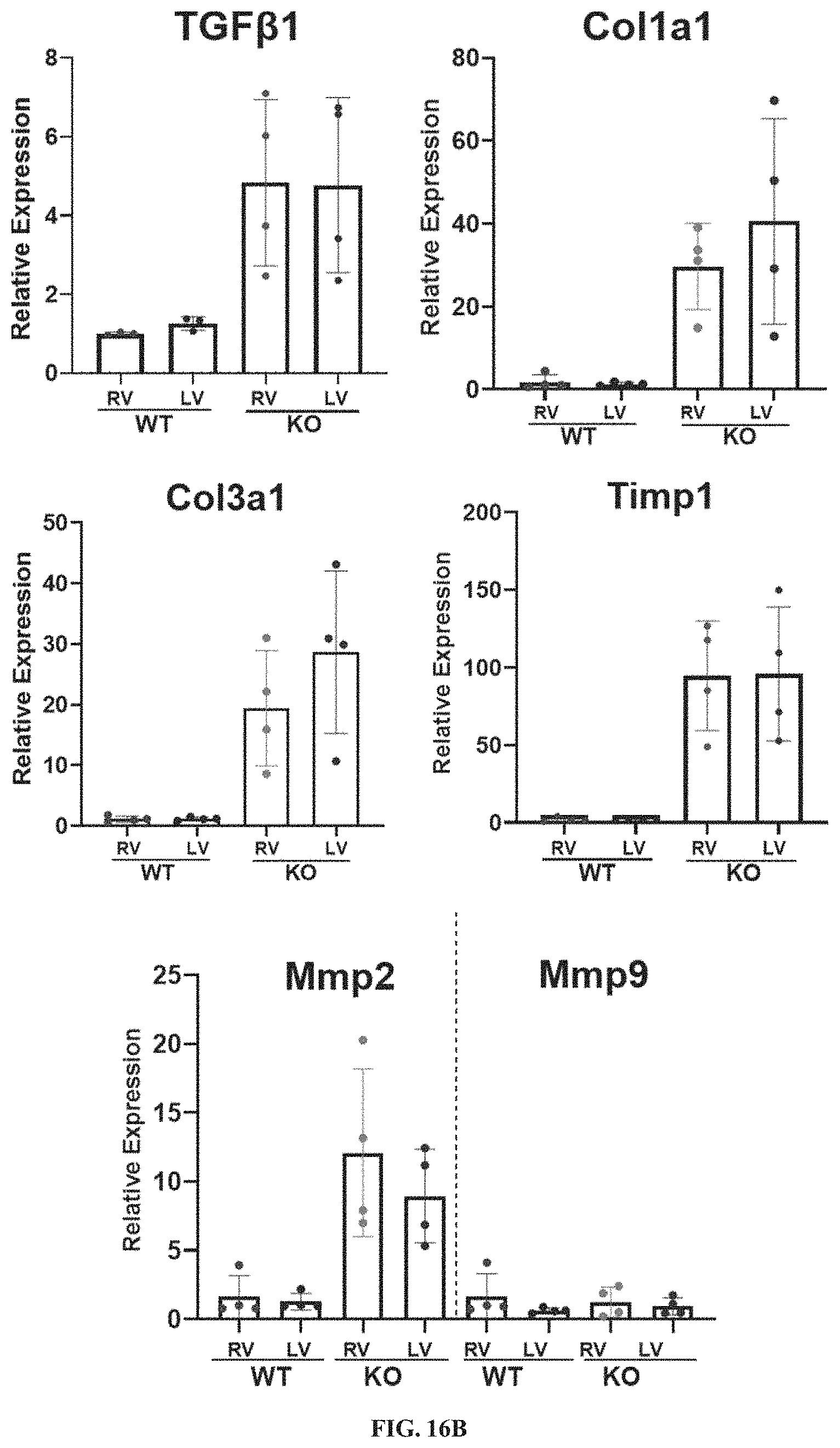 Patent US11781156 Figure 20 – Plakophillin-2 gene therapy methods and compositions