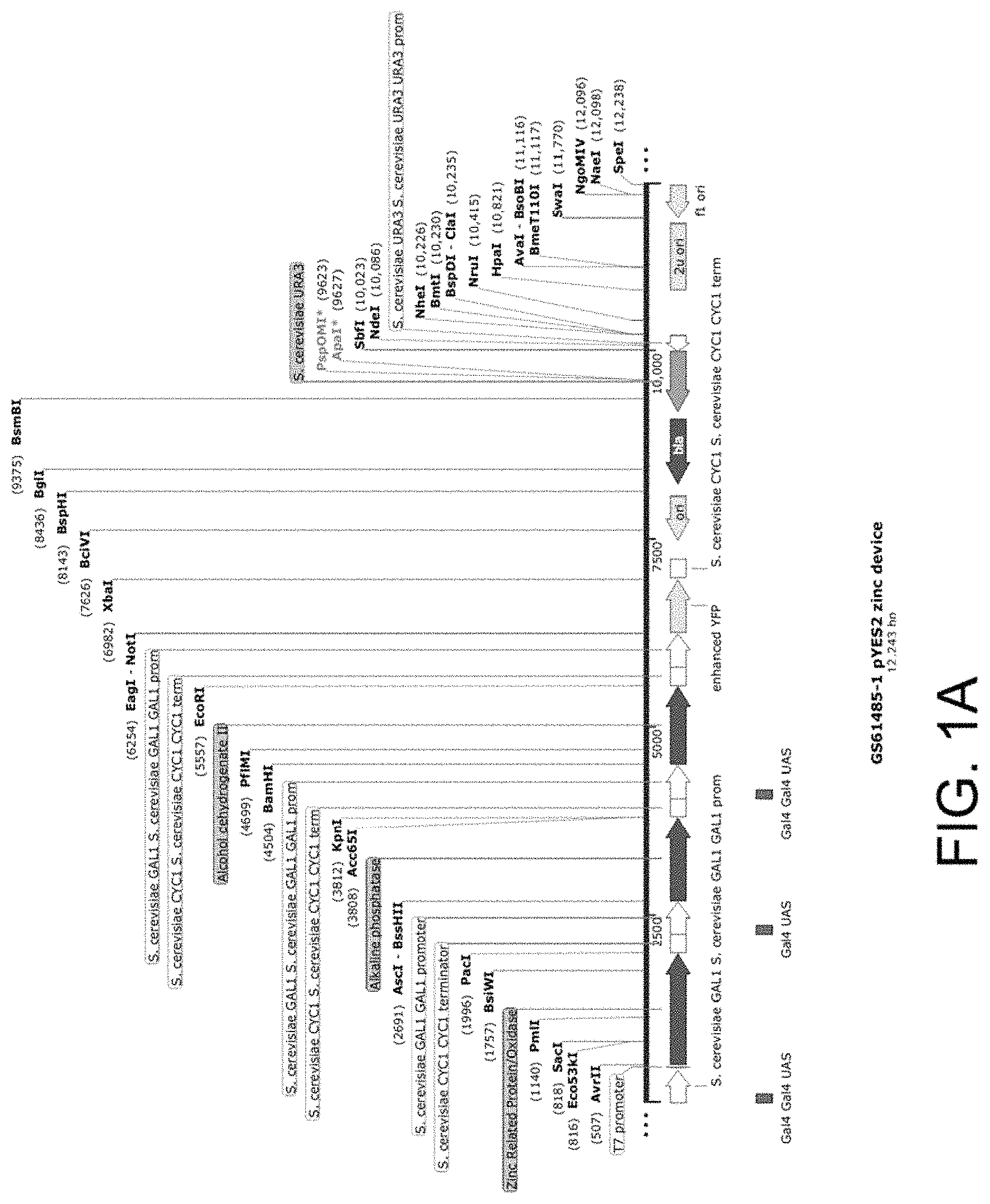 Patent US11781157 Figure 1 – Biological devices for producing oxidized zinc and applications thereof