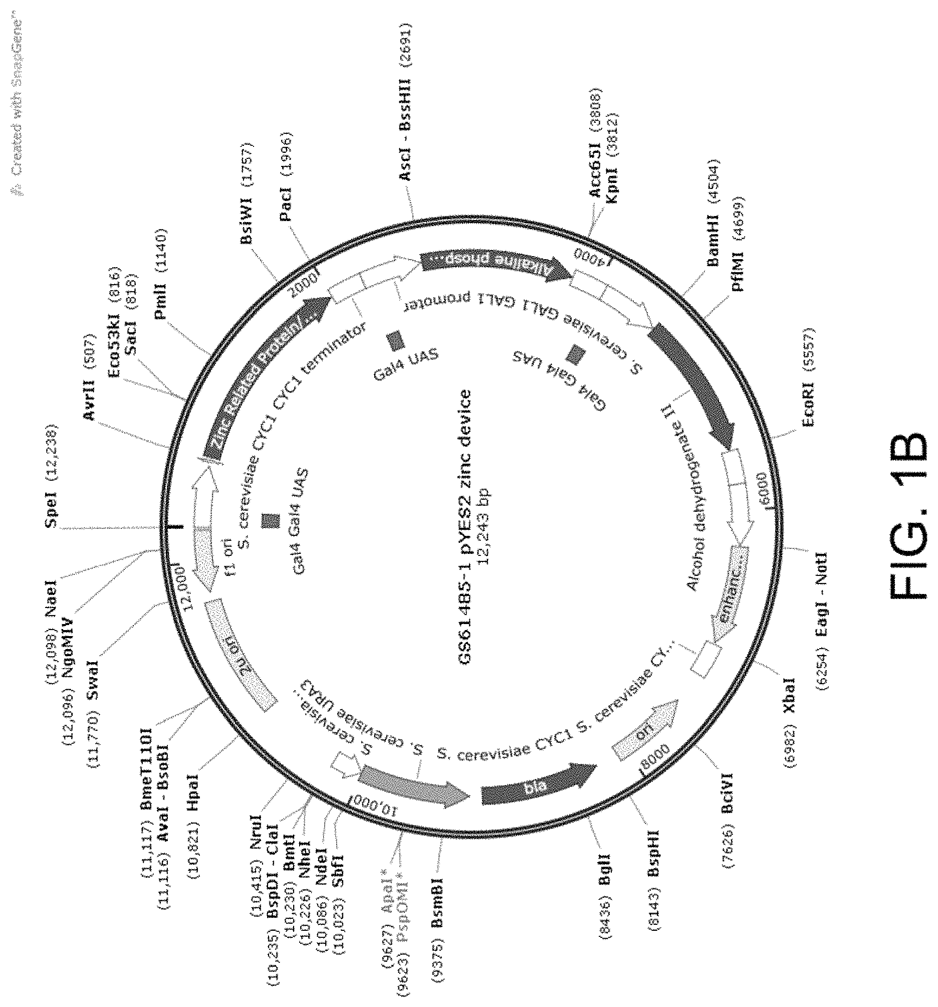 Patent US11781157 Figure 2 – Biological devices for producing oxidized zinc and applications thereof