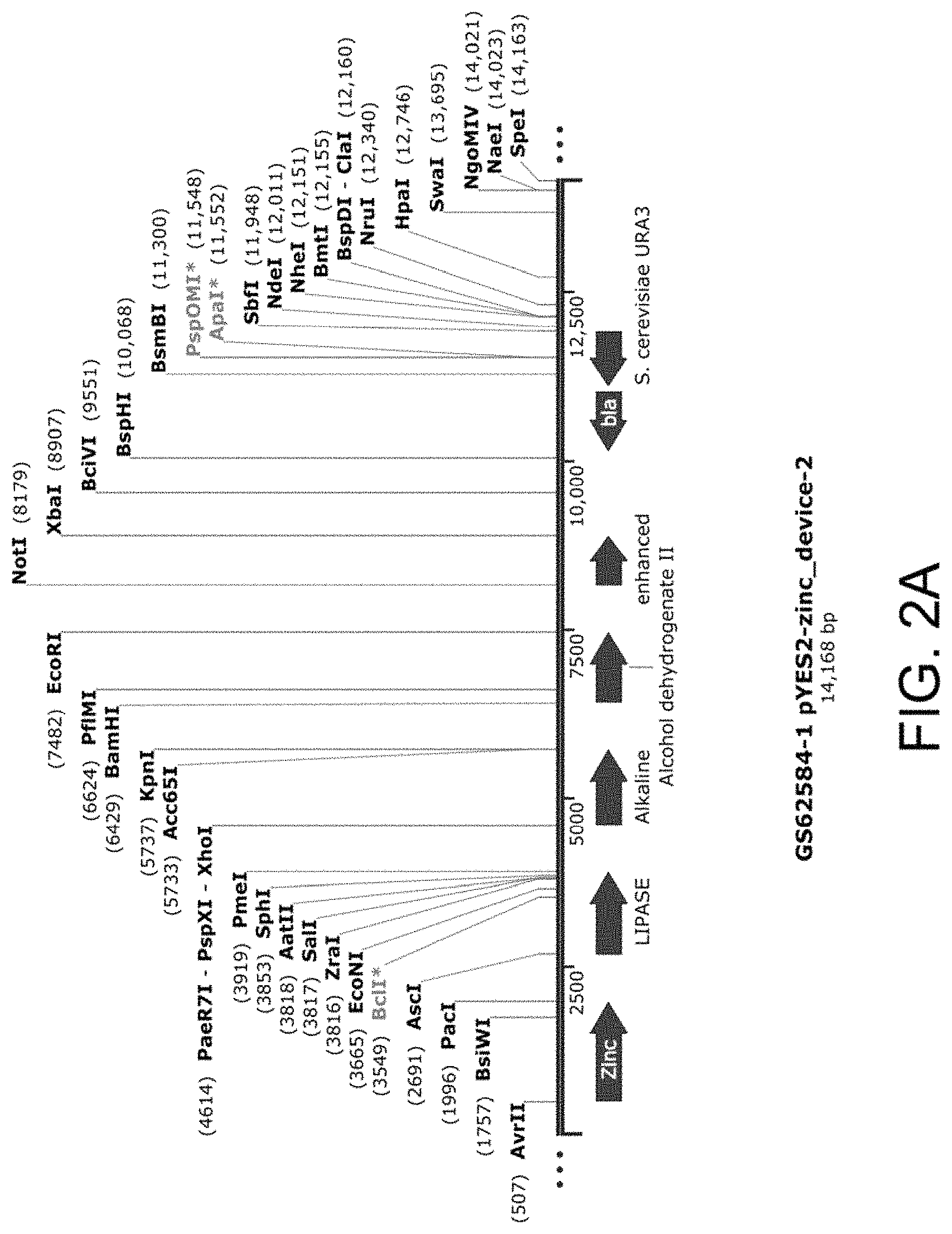 Patent US11781157 Figure 3 – Biological devices for producing oxidized zinc and applications thereof
