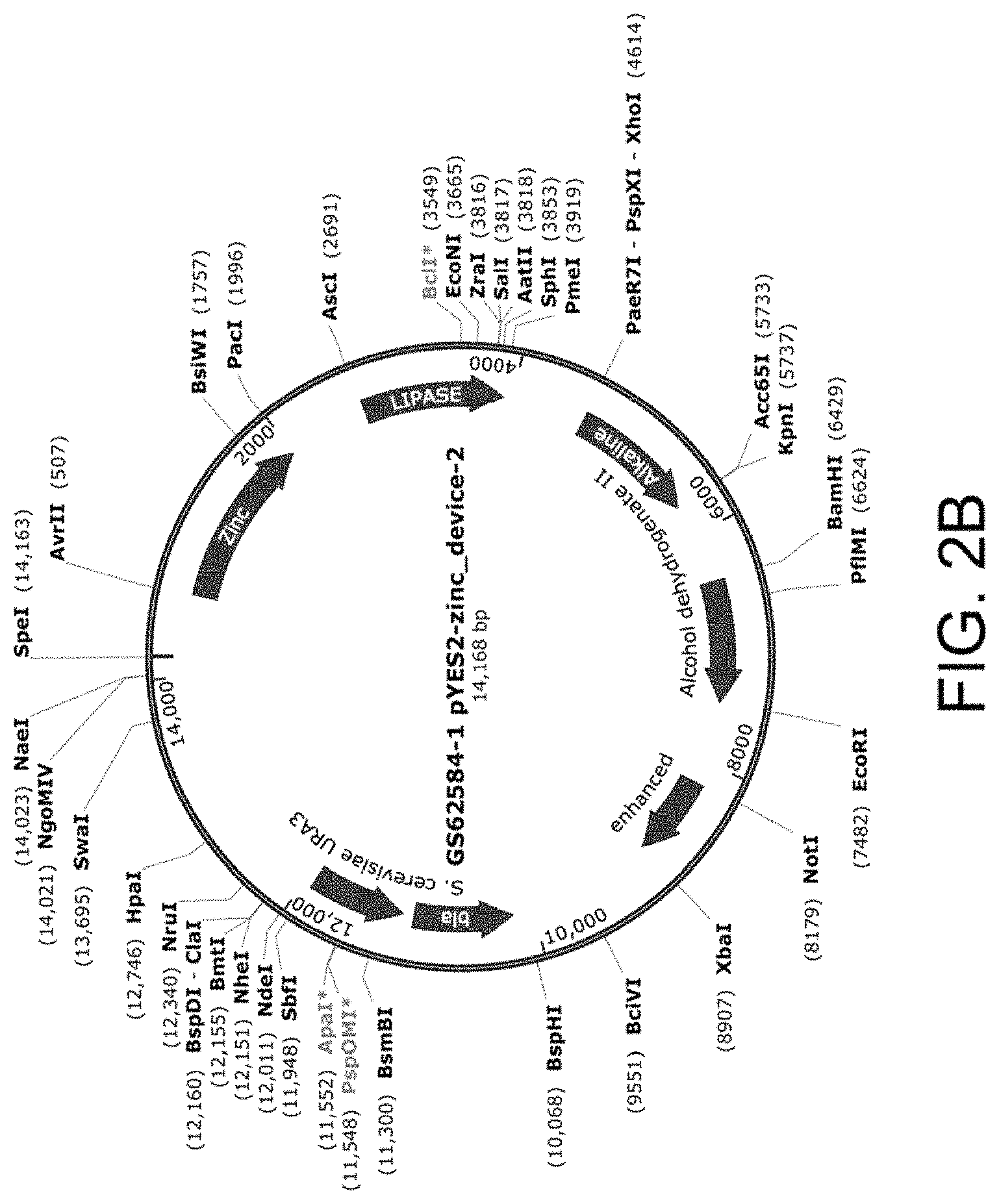 Patent US11781157 Figure 4 – Biological devices for producing oxidized zinc and applications thereof